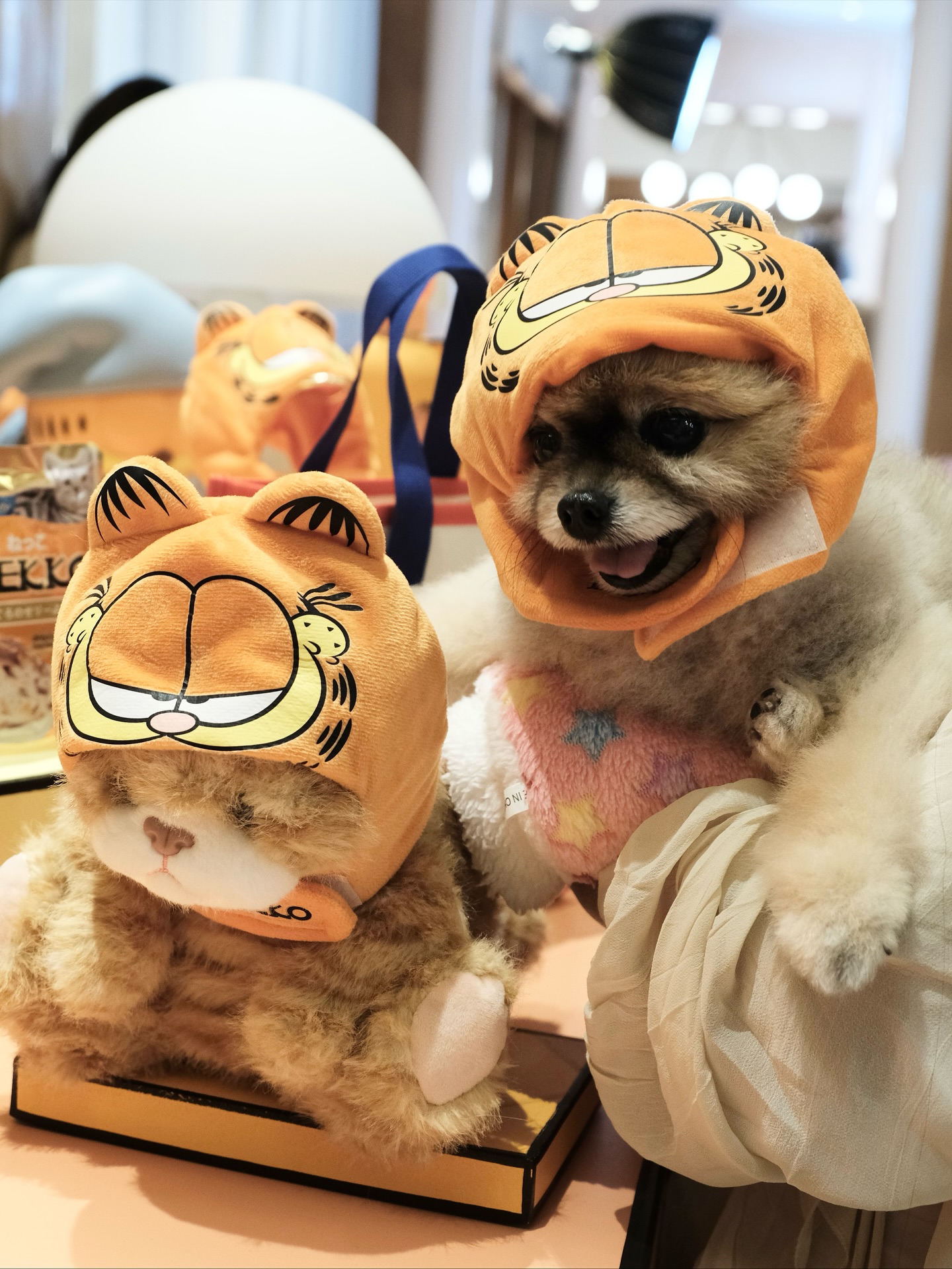 มิว - ศุภศิษฏ์ จงชีวีวัฒน์