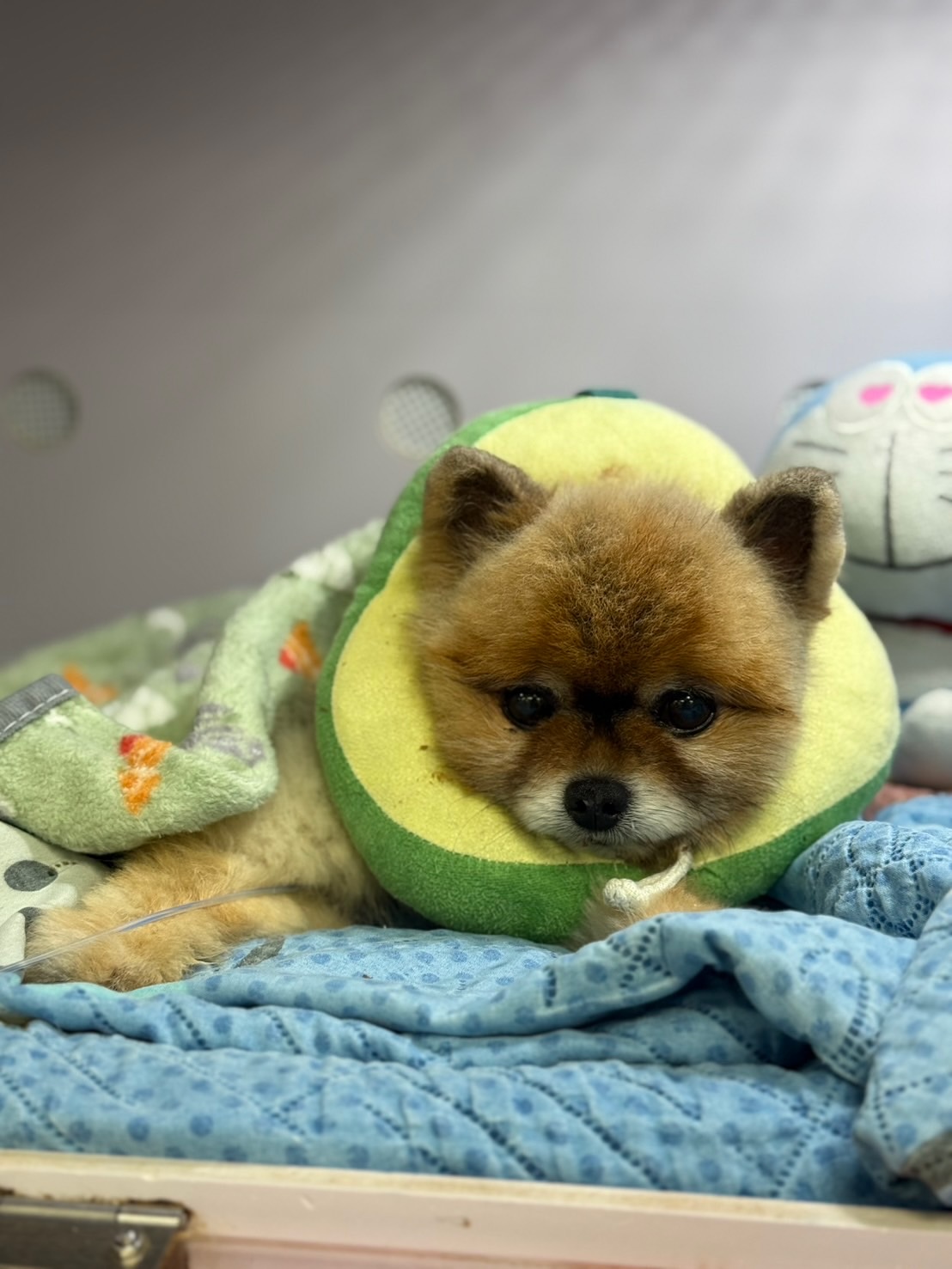 มิว - ศุภศิษฏ์ จงชีวีวัฒน์