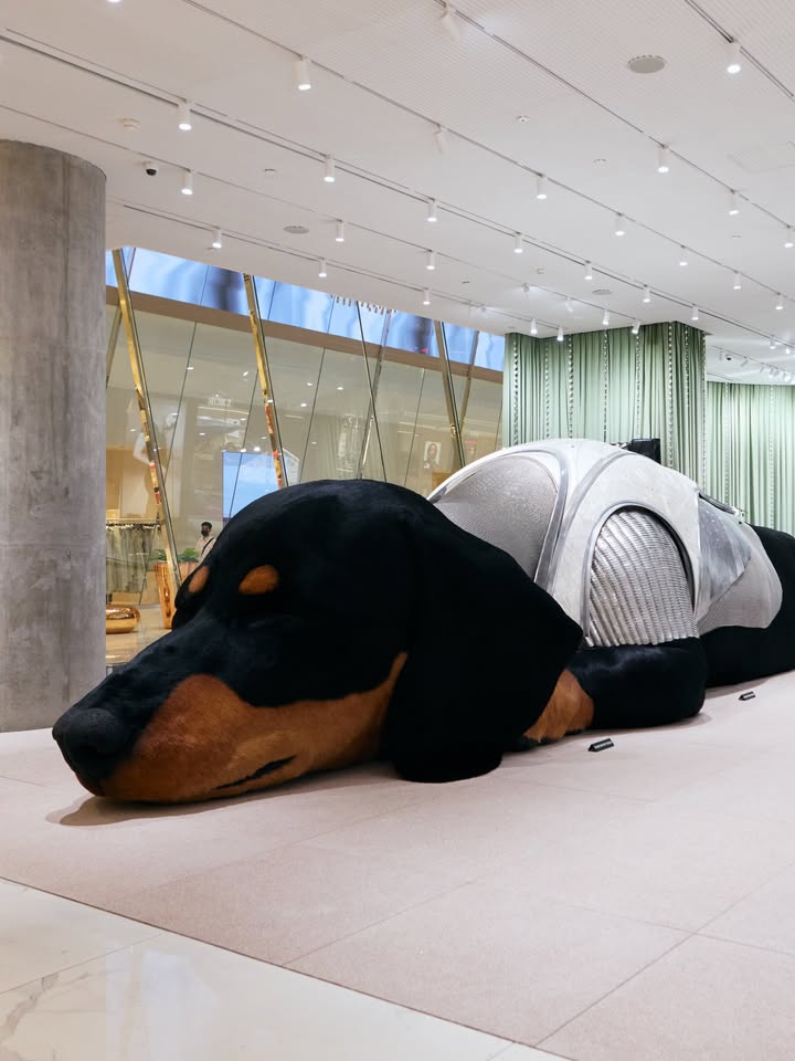 มิว - ศุภศิษฏ์ จงชีวีวัฒน์