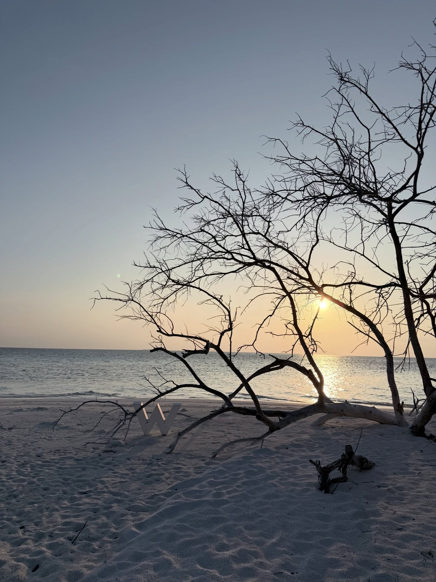 มิว - ศุภศิษฏ์ จงชีวีวัฒน์
