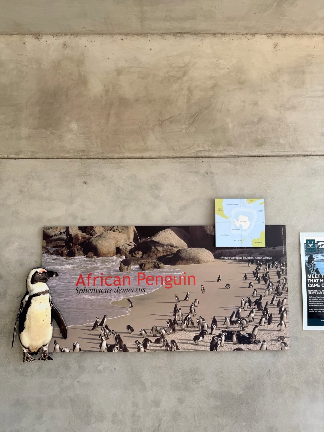 มิว - ศุภศิษฏ์ จงชีวีวัฒน์