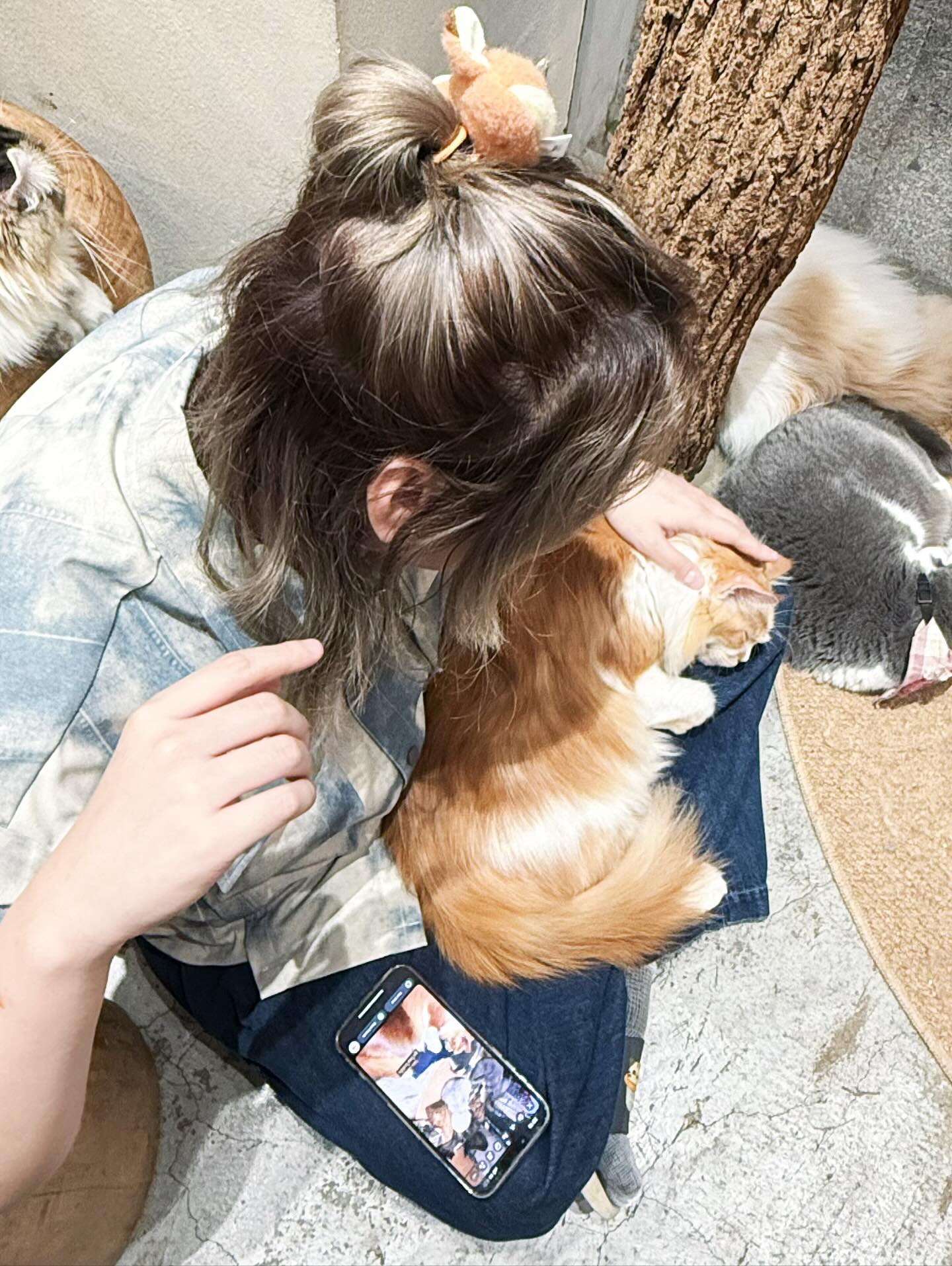 คชา - นนทนันท์ อัญชุลีประดิษฐ์