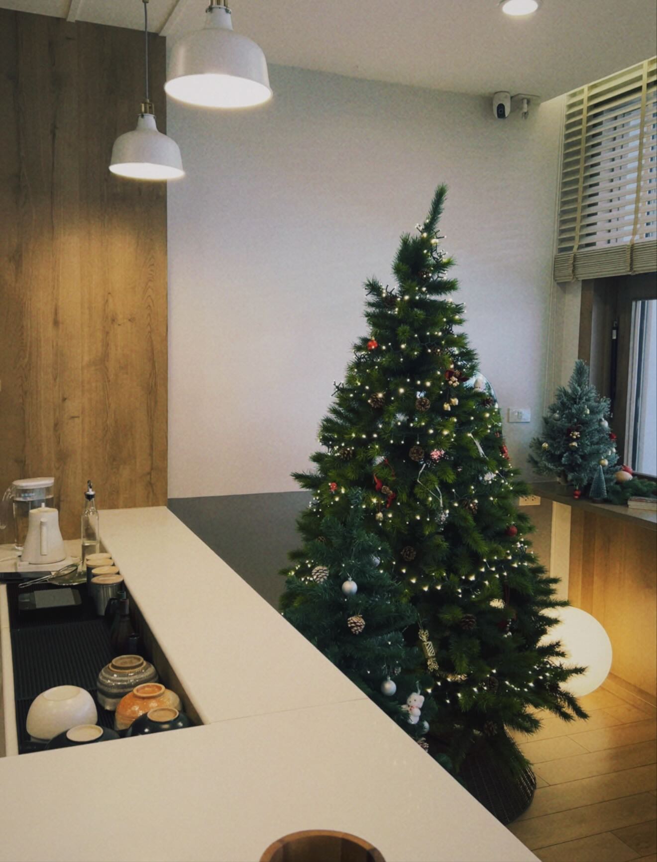 คชา - นนทนันท์ อัญชุลีประดิษฐ์