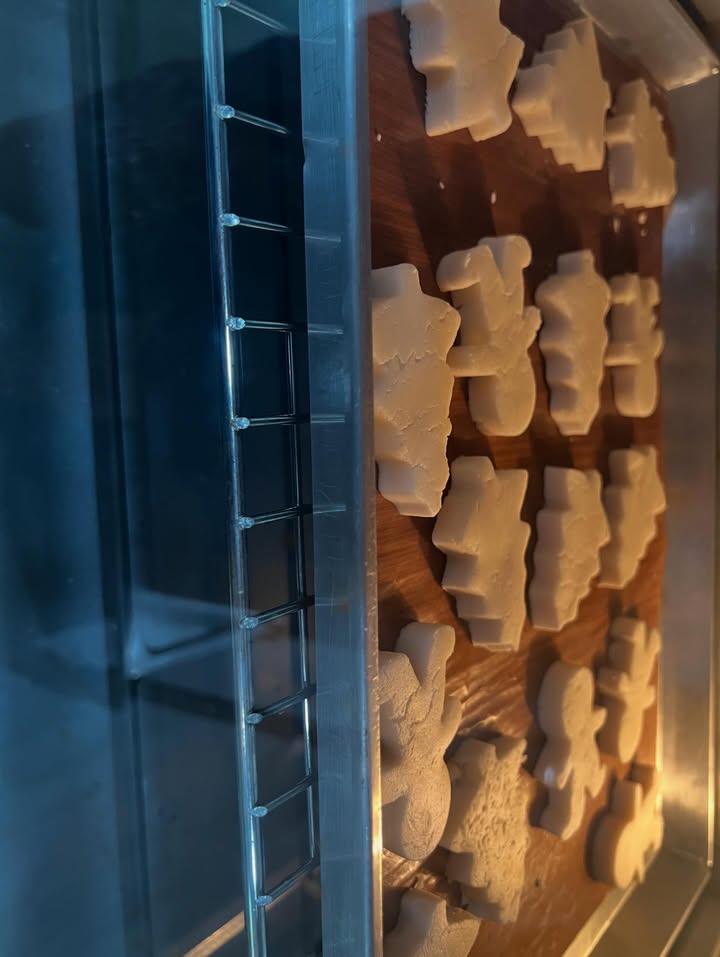 คชา - นนทนันท์ อัญชุลีประดิษฐ์