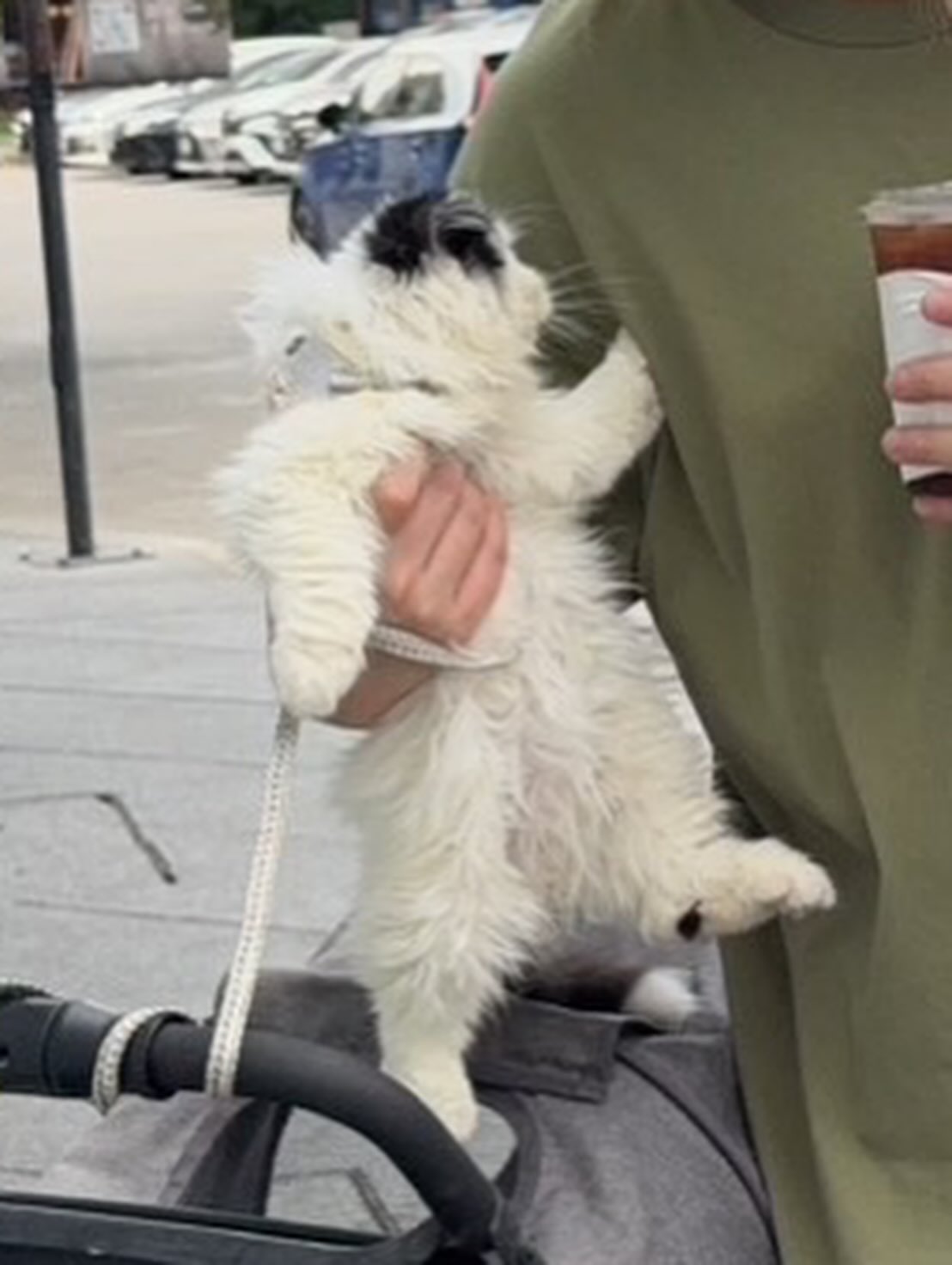 คชา - นนทนันท์ อัญชุลีประดิษฐ์