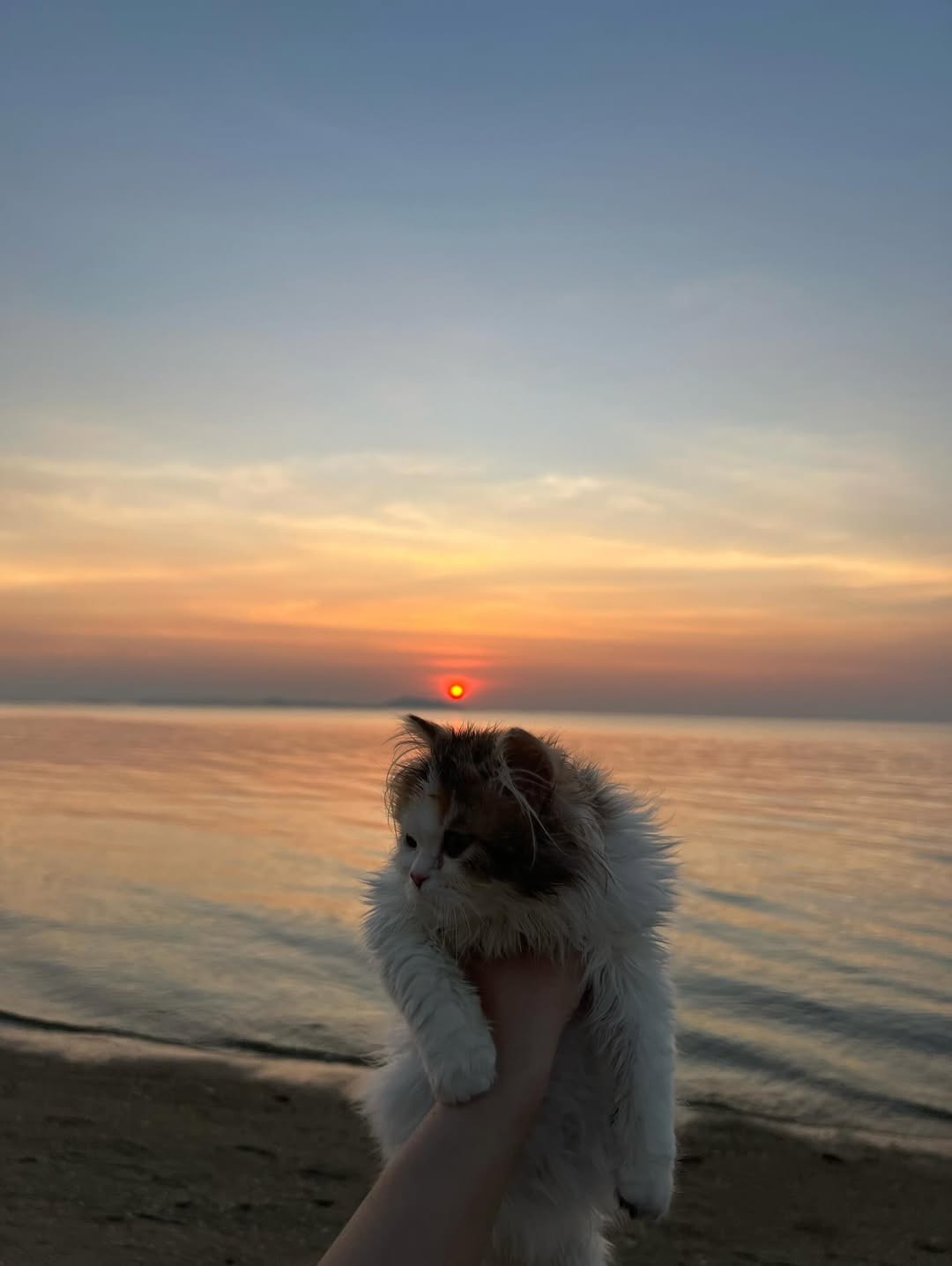 คชา - นนทนันท์ อัญชุลีประดิษฐ์