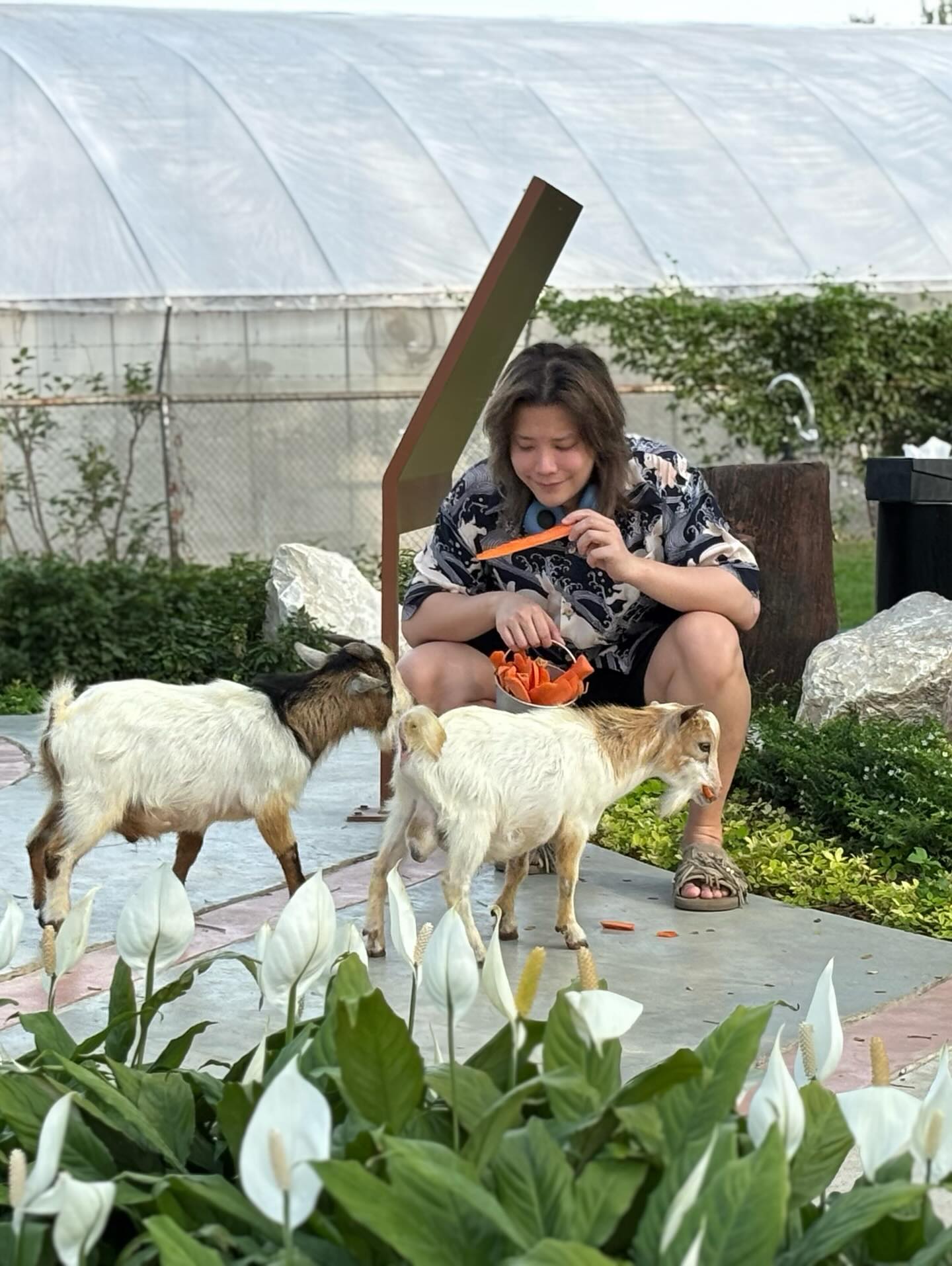 คชา - นนทนันท์ อัญชุลีประดิษฐ์