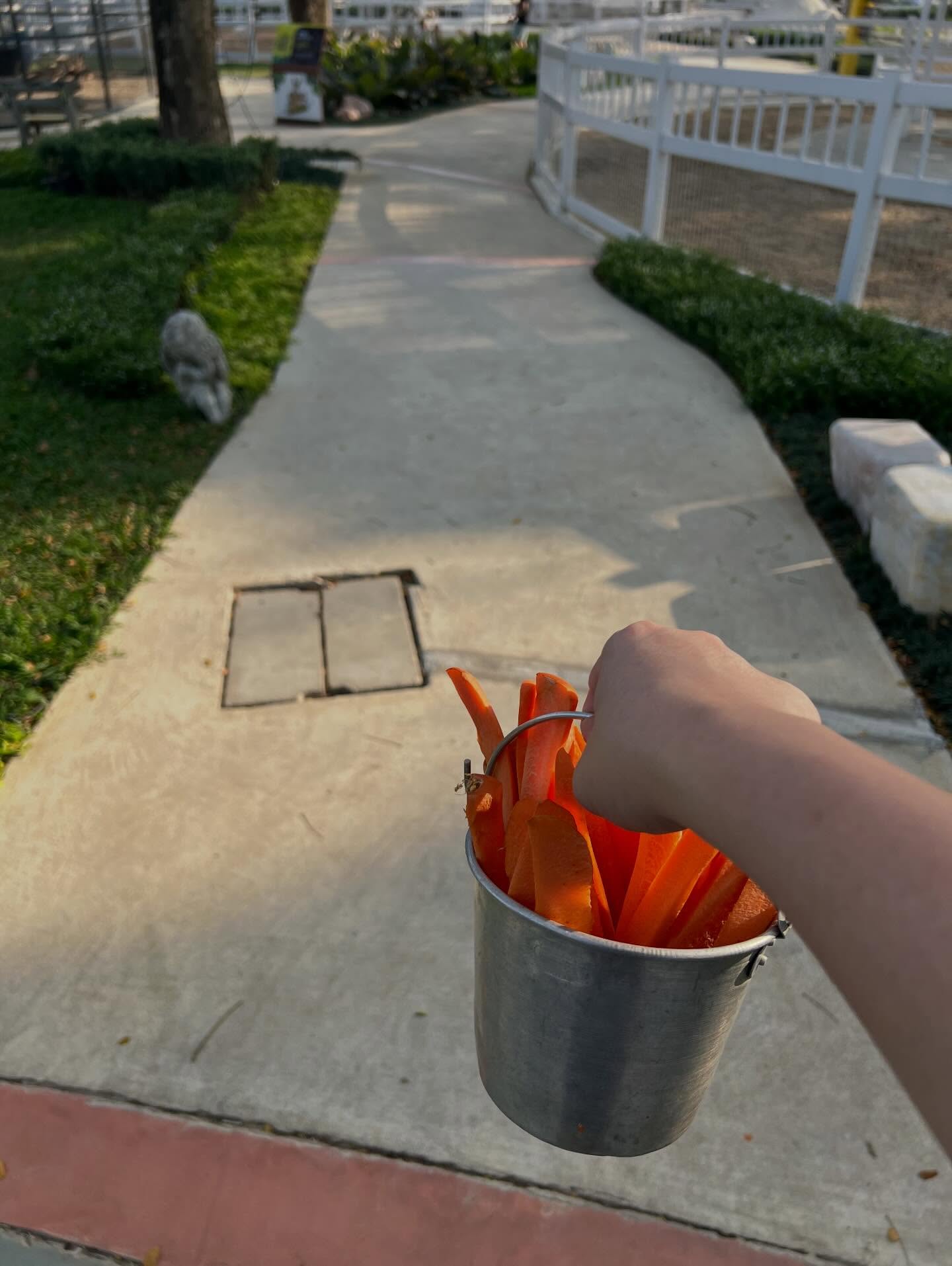 คชา - นนทนันท์ อัญชุลีประดิษฐ์