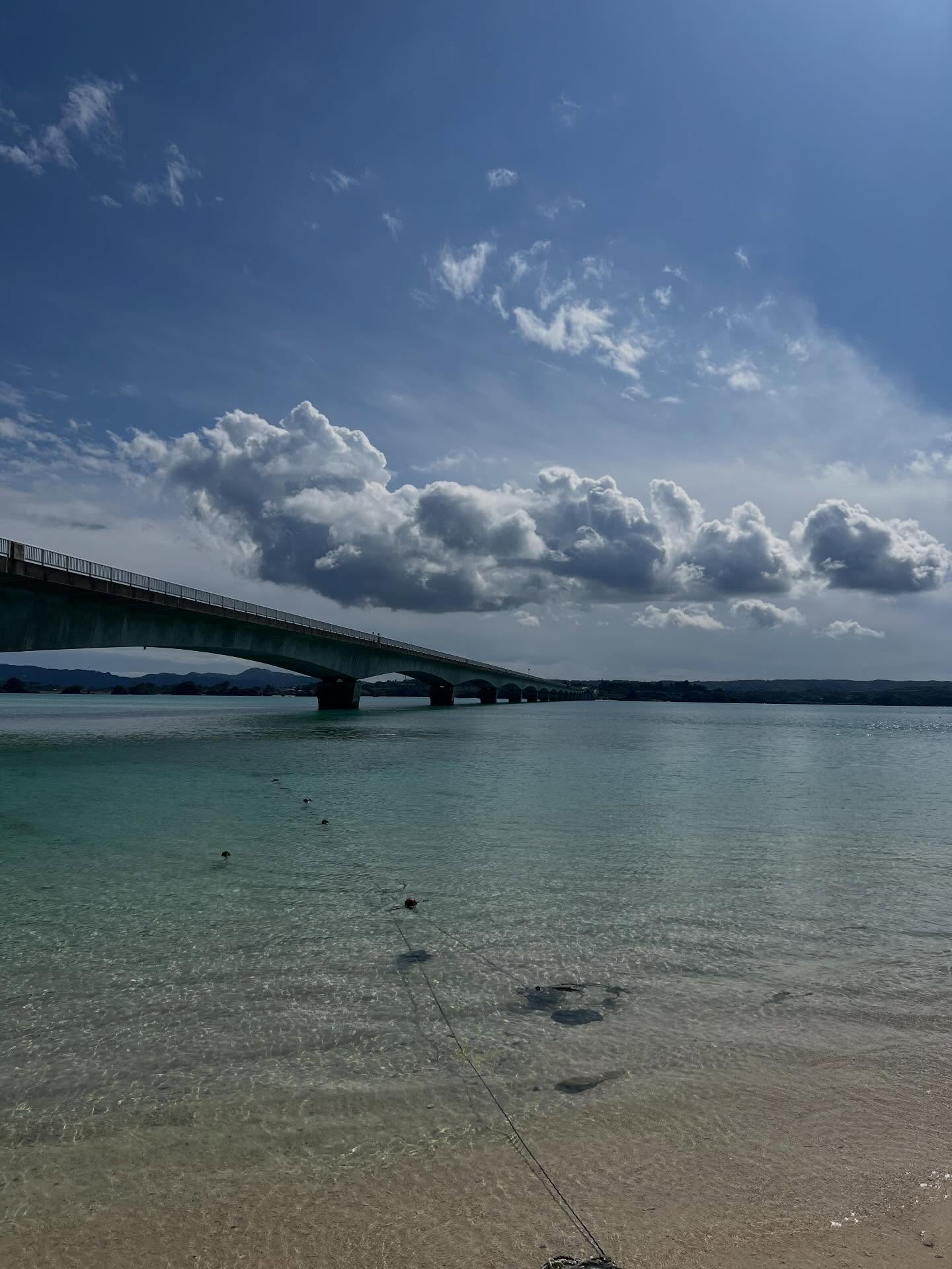 คชา - นนทนันท์ อัญชุลีประดิษฐ์