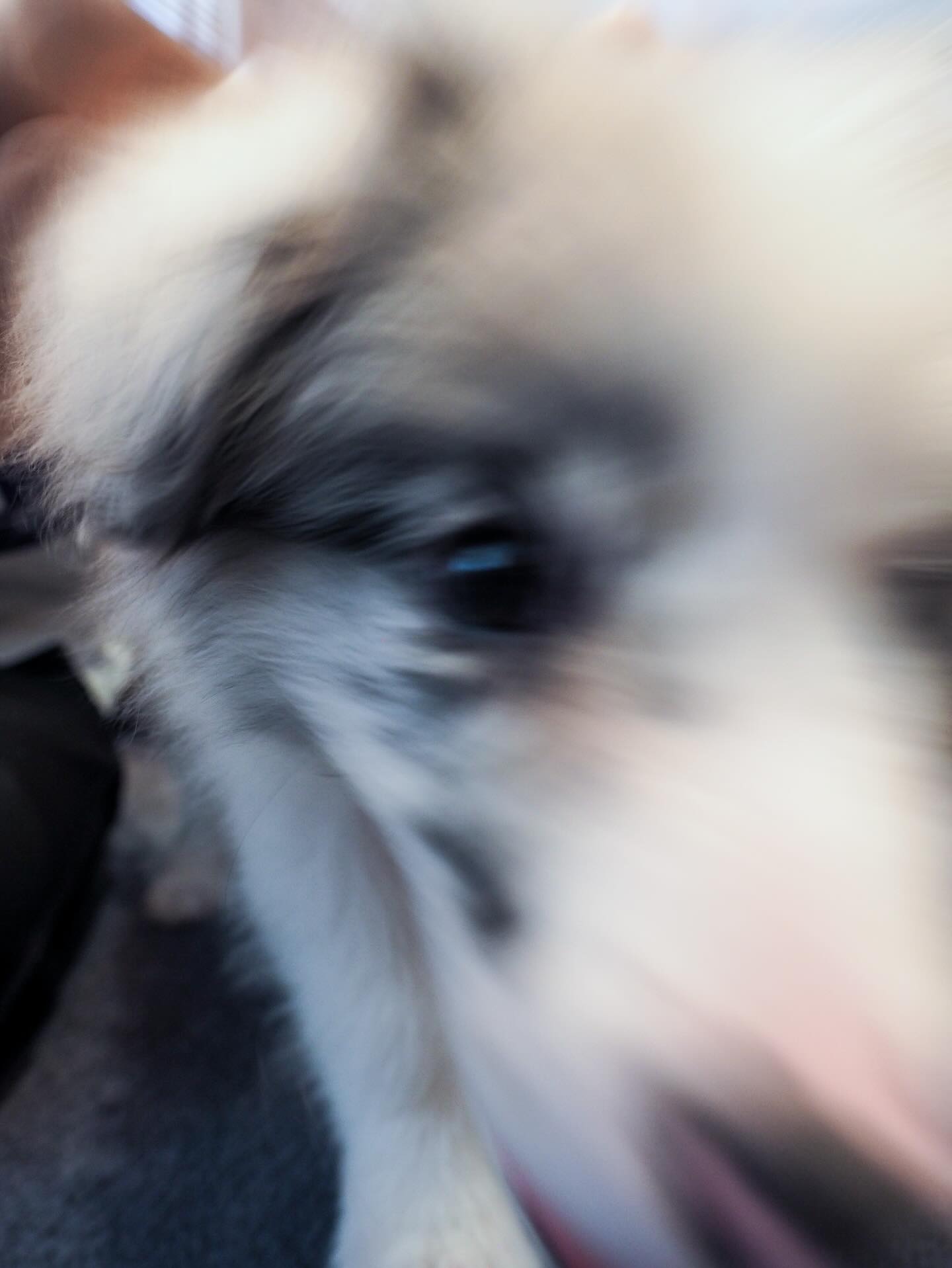 นัท - ณัฏฐ์ ทิวไผ่งาม