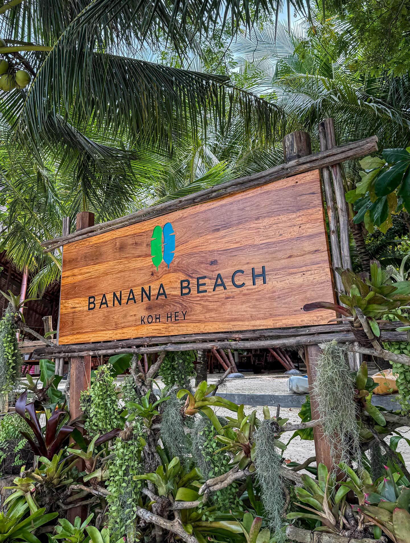 นัท - ณัฏฐ์ ทิวไผ่งาม