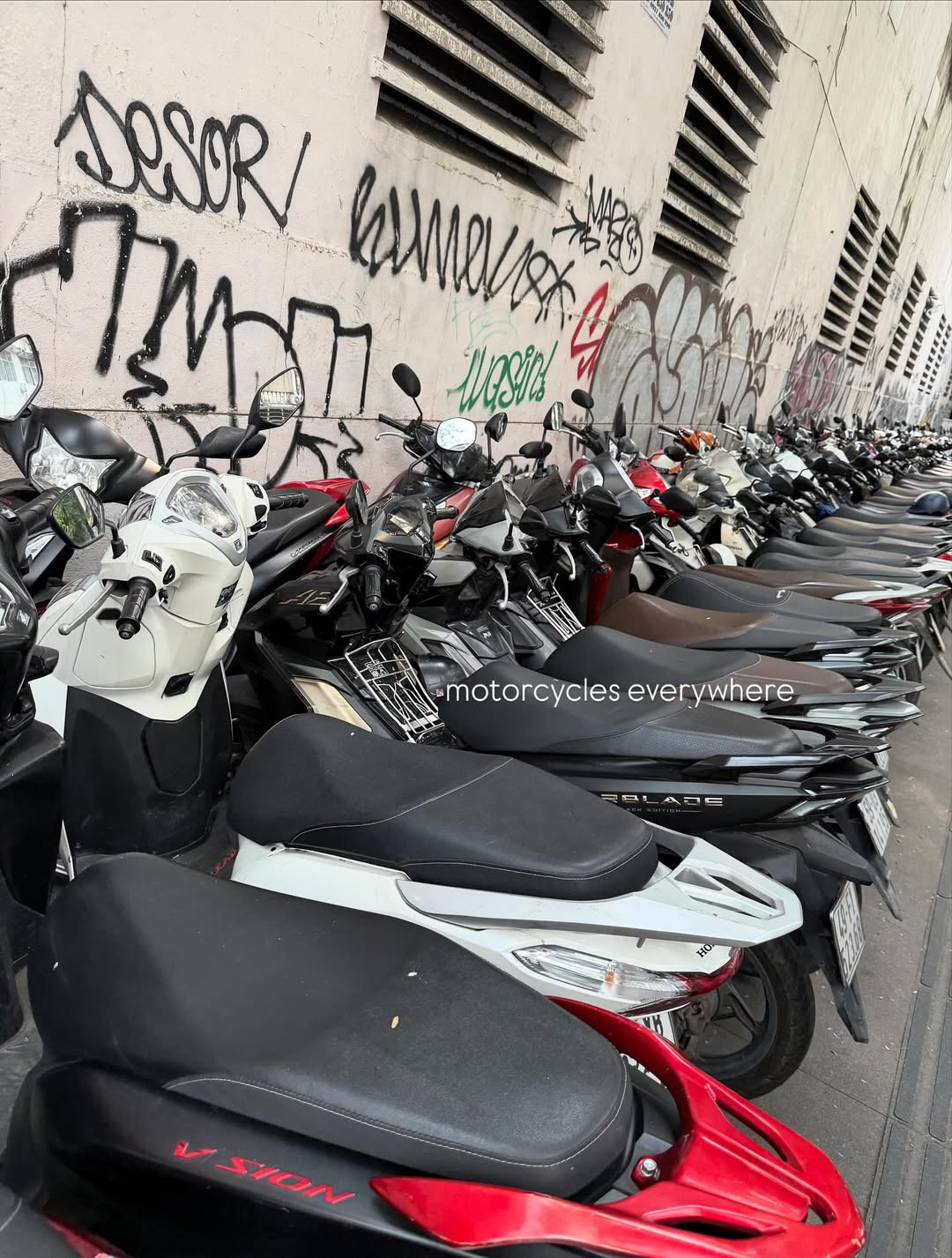 นัท - ณัฏฐ์ ทิวไผ่งาม