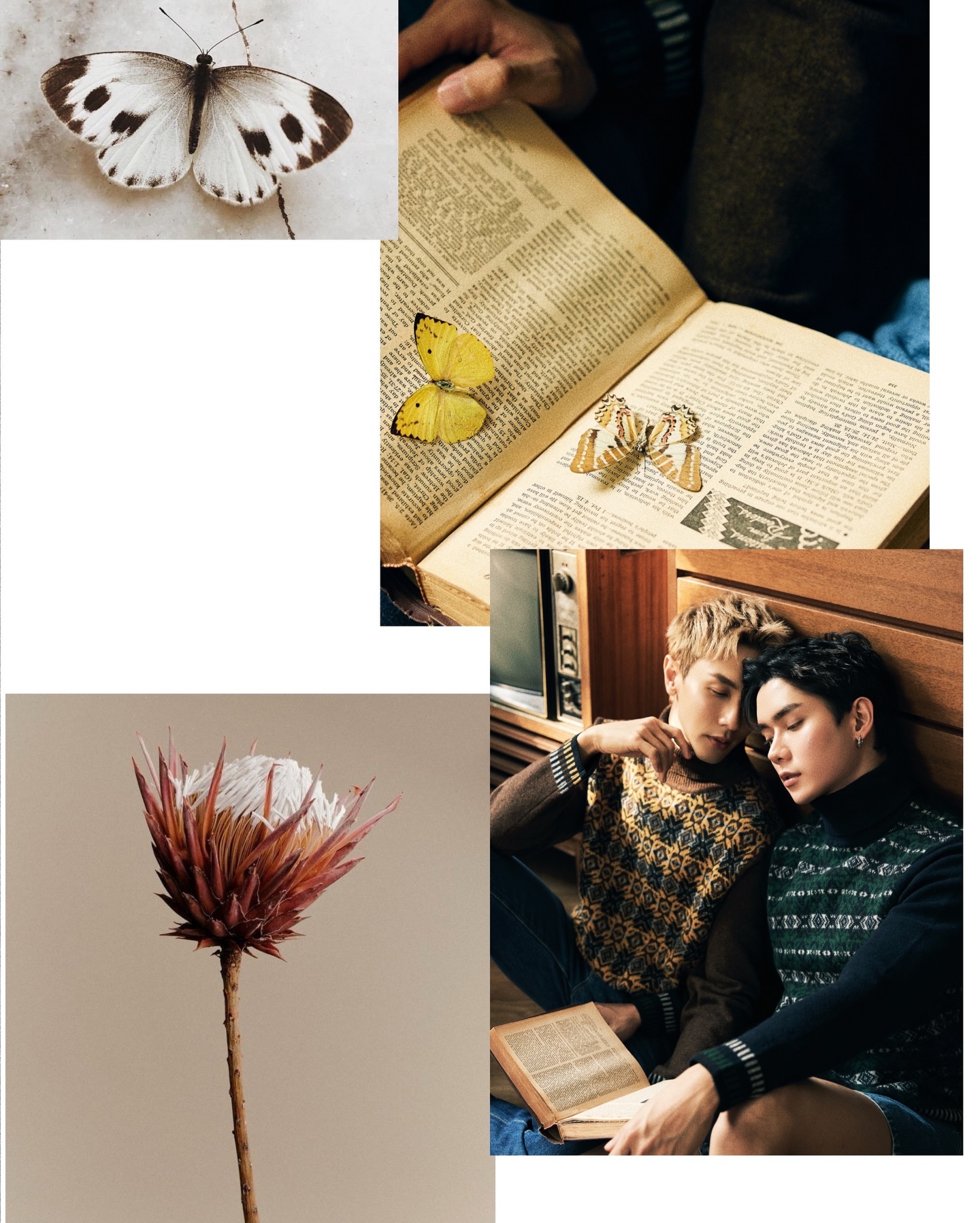 นัท - ณัฏฐ์ ทิวไผ่งาม