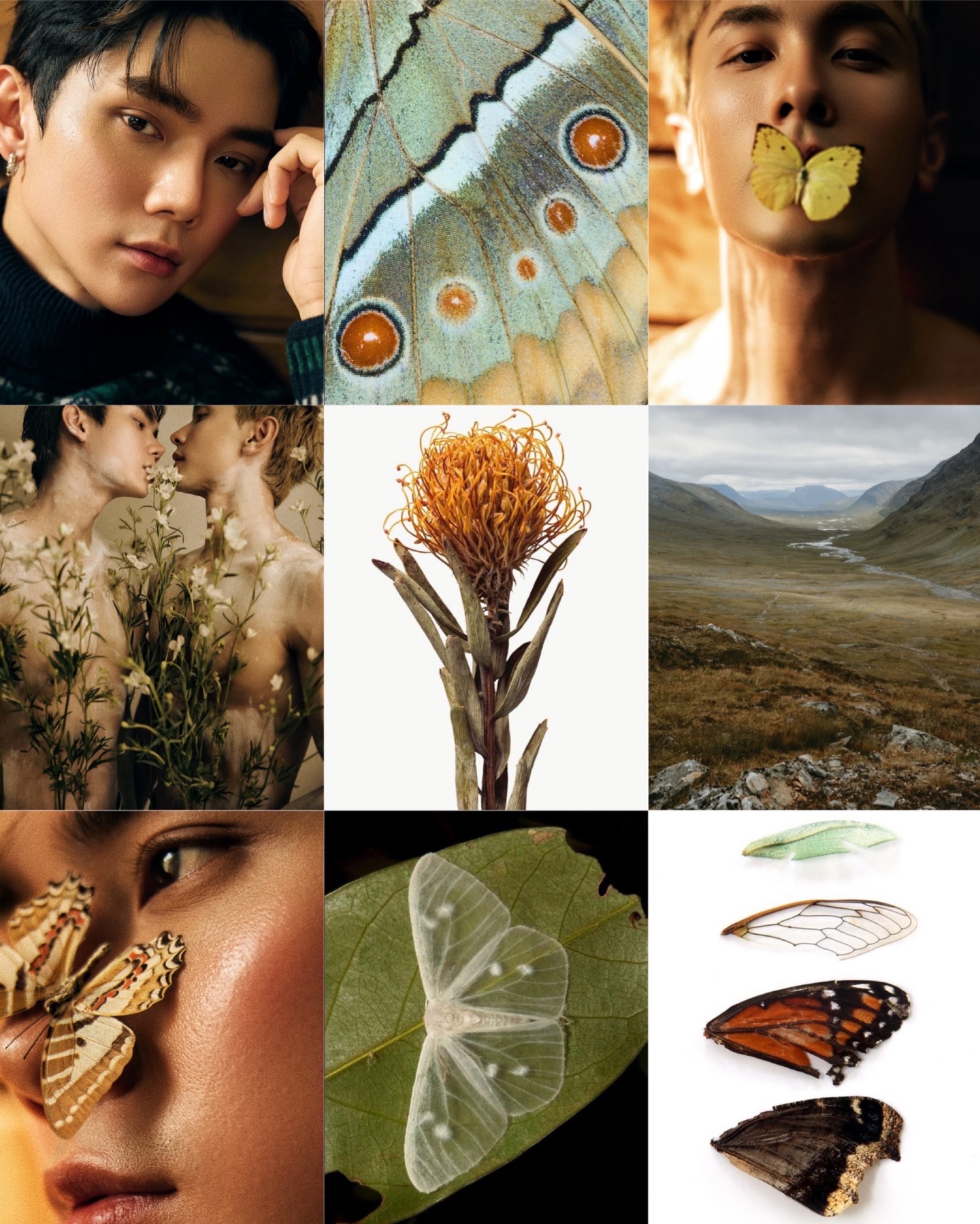 นัท - ณัฏฐ์ ทิวไผ่งาม