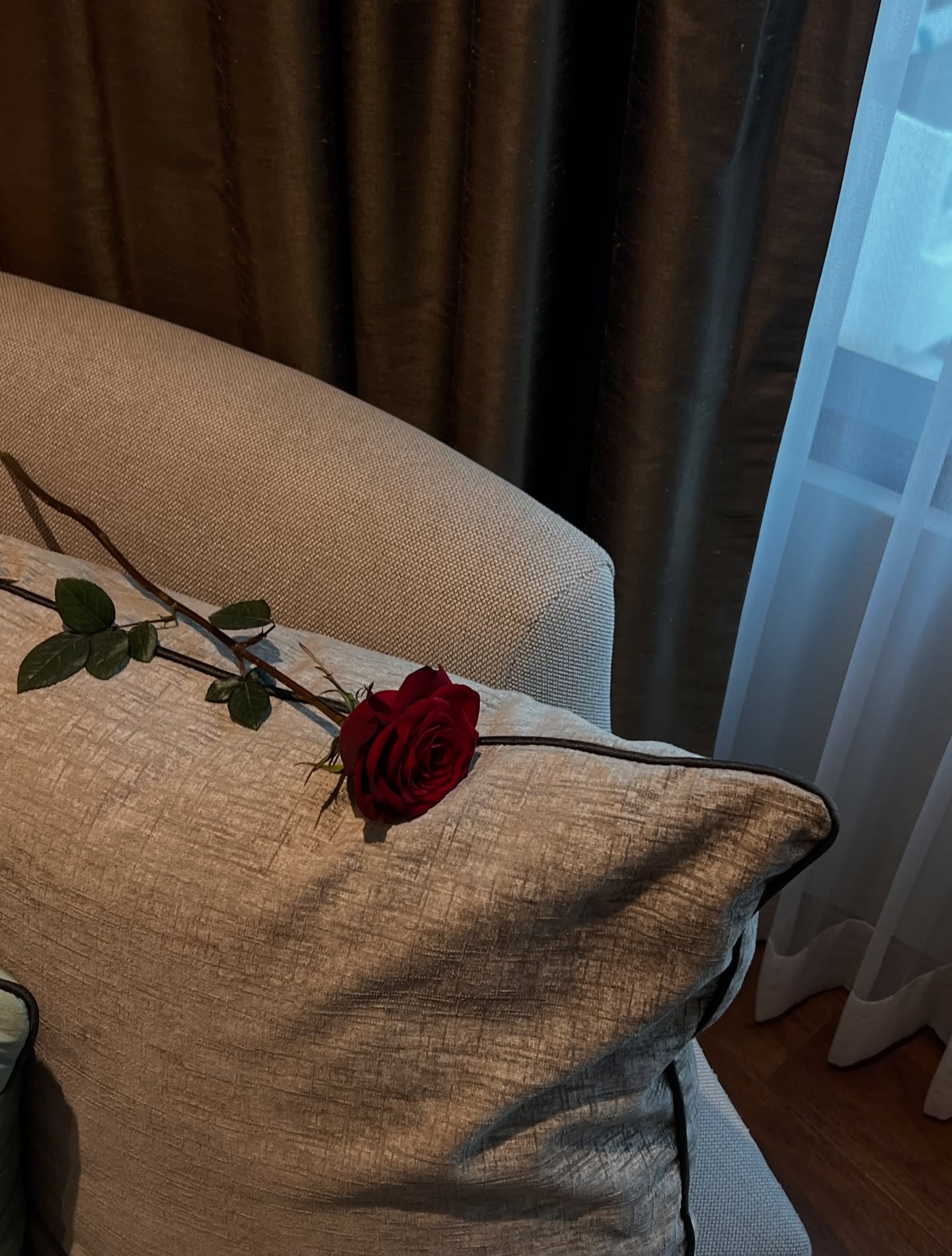 นัท - ณัฏฐ์ ทิวไผ่งาม