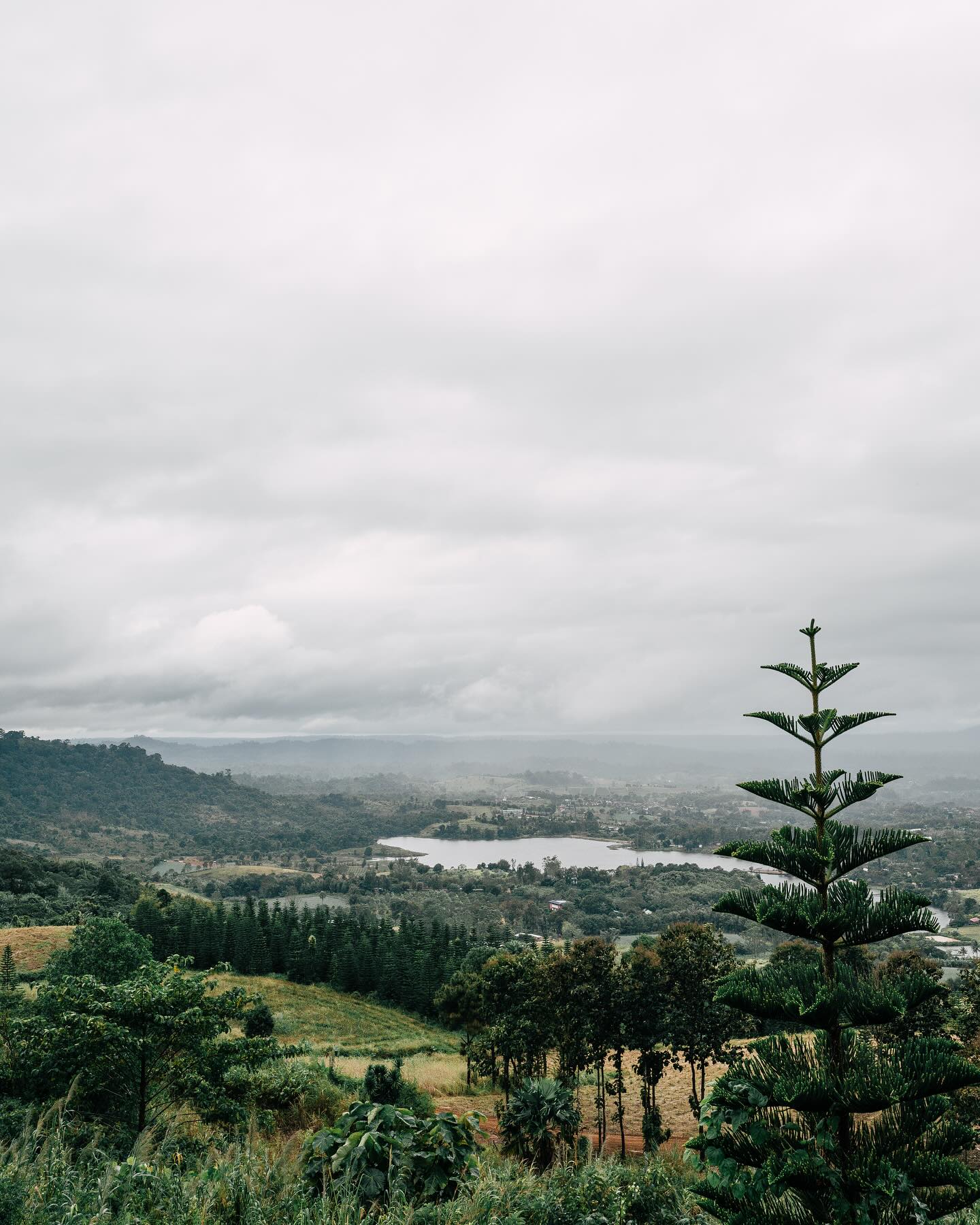 คอปเตอร์ - ภานุวัฒน์ เกิดทองทวี