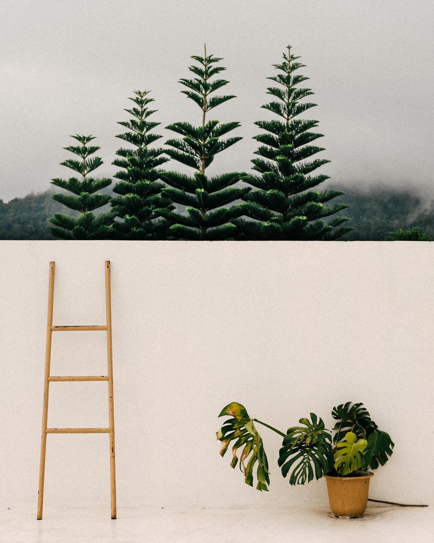 คอปเตอร์ - ภานุวัฒน์ เกิดทองทวี