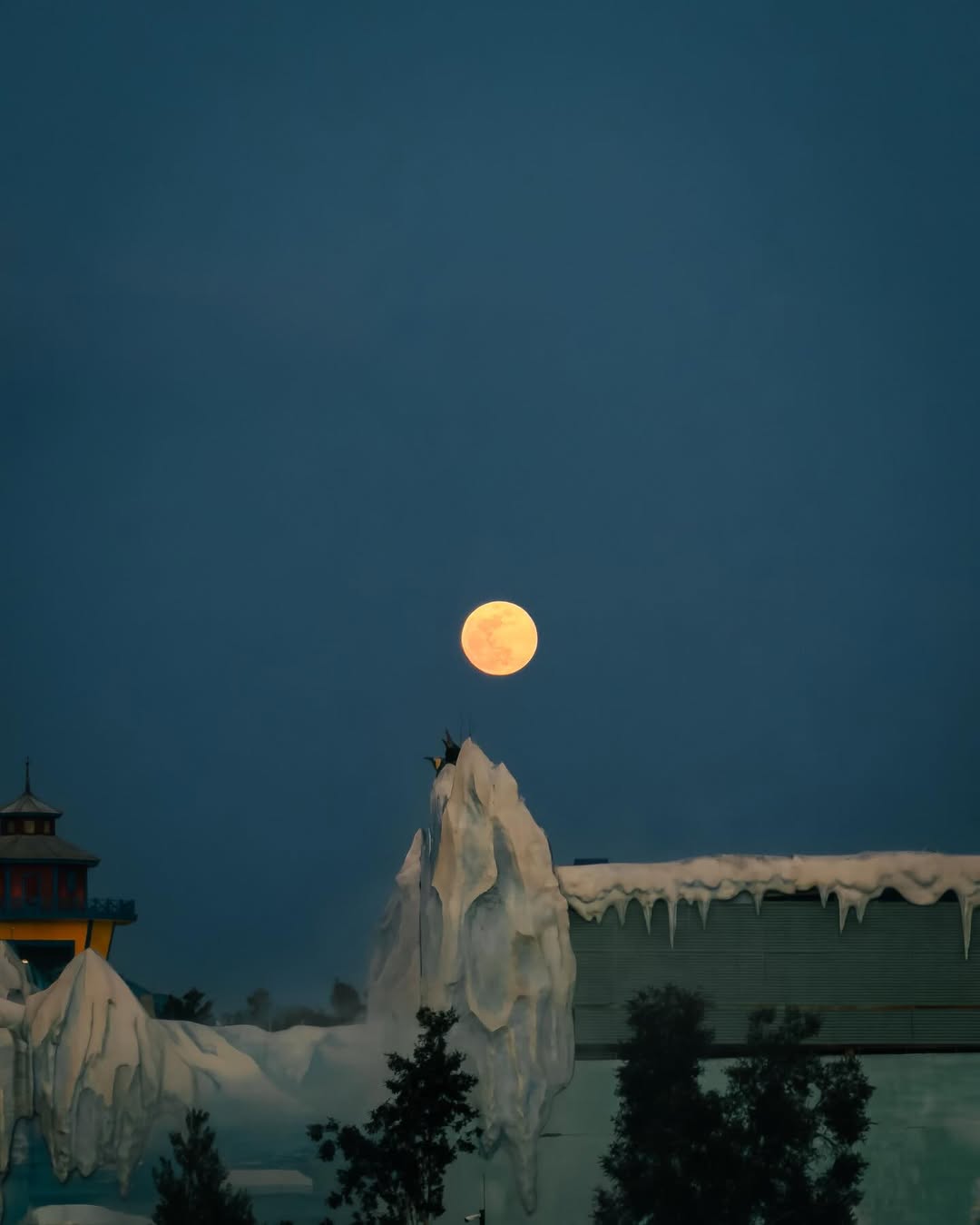 คอปเตอร์ - ภานุวัฒน์ เกิดทองทวี