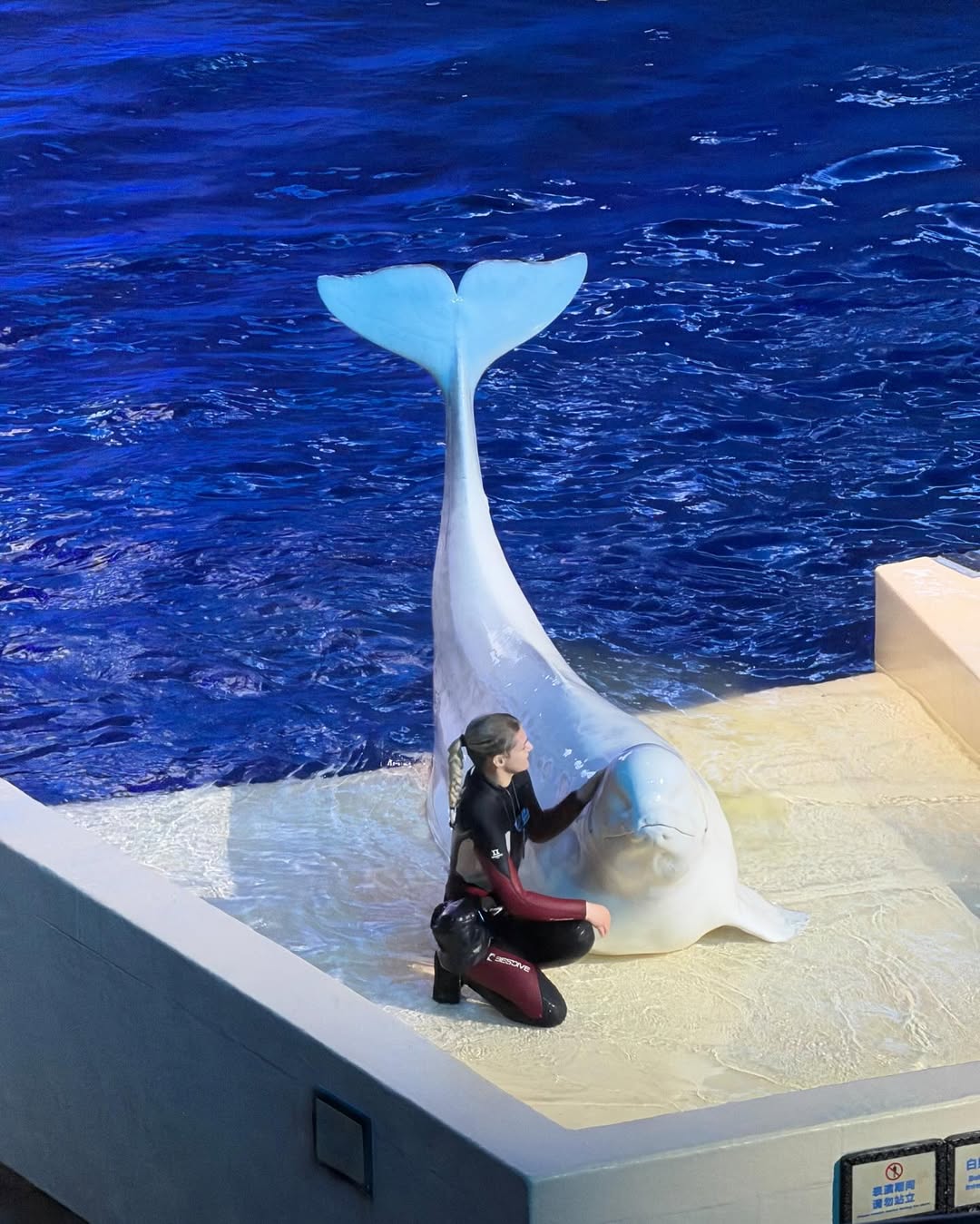 คอปเตอร์ - ภานุวัฒน์ เกิดทองทวี