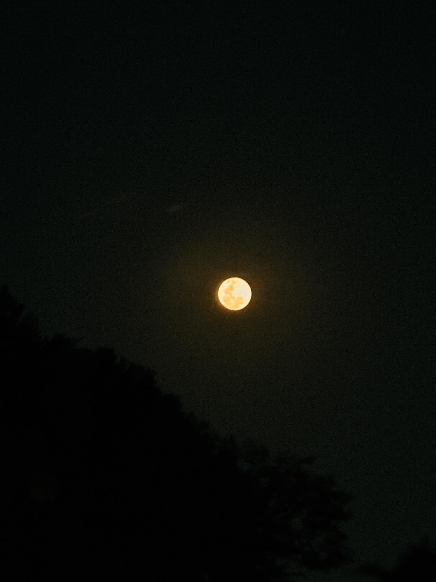 คอปเตอร์ - ภานุวัฒน์ เกิดทองทวี