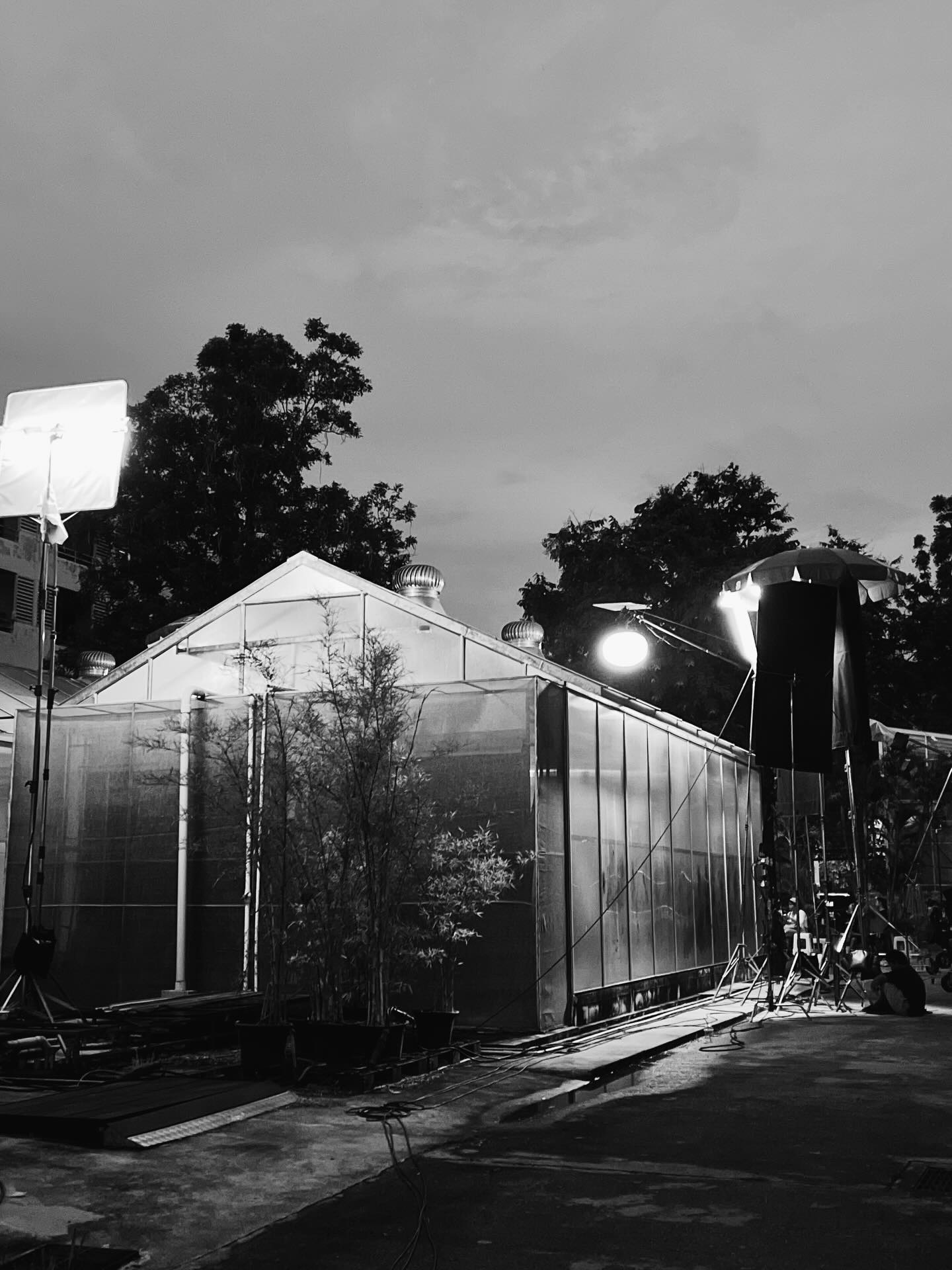 นิ้ง - ชัญญา แม็คคลอรี่ย์