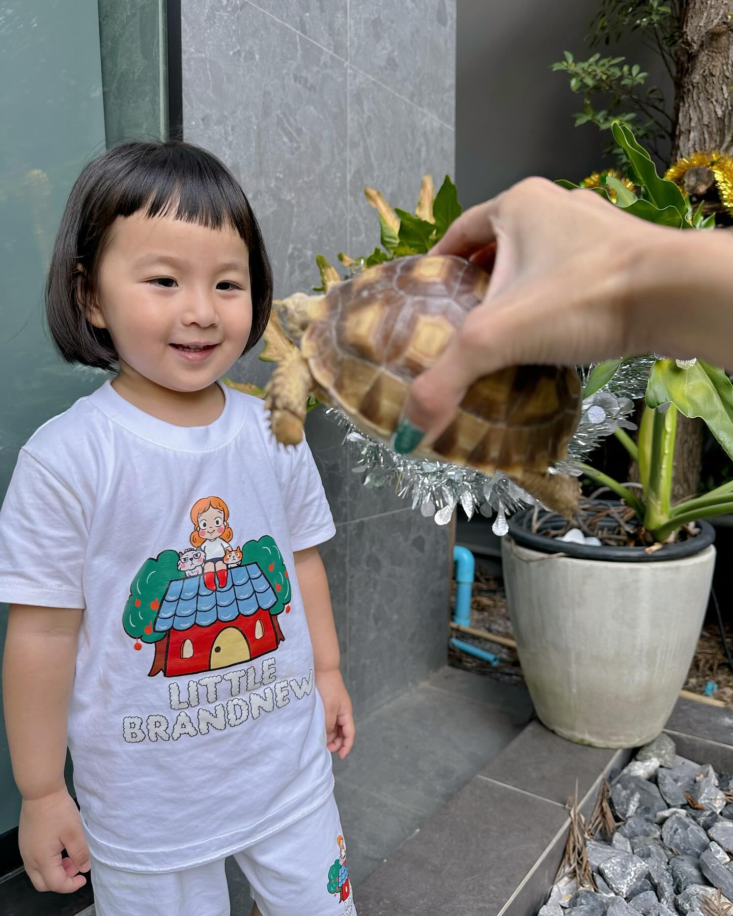 หยาด - หยาดทิพย์ ราชปาล