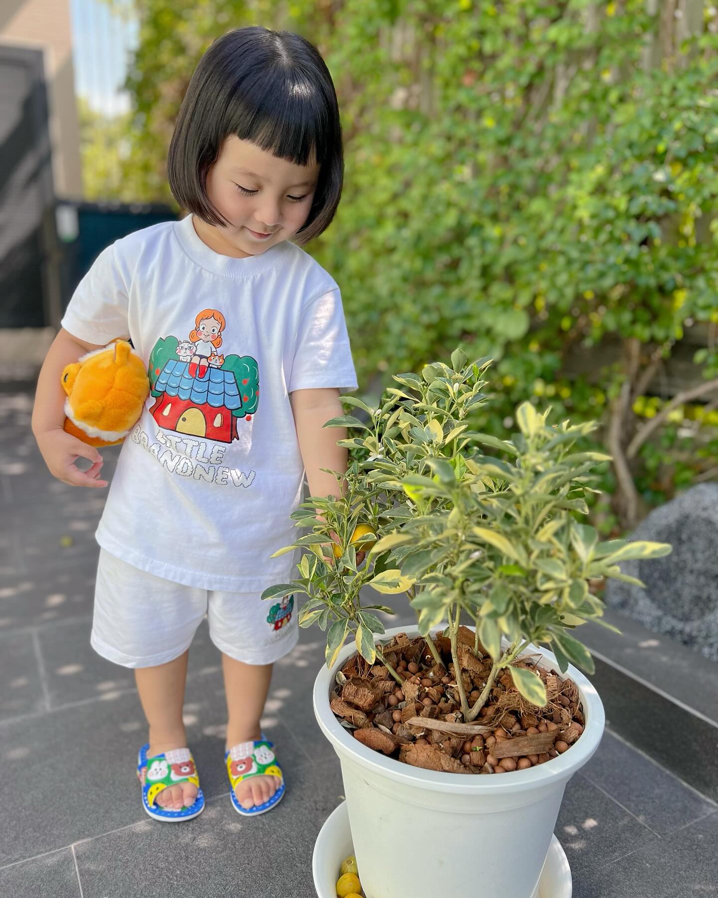 หยาด - หยาดทิพย์ ราชปาล