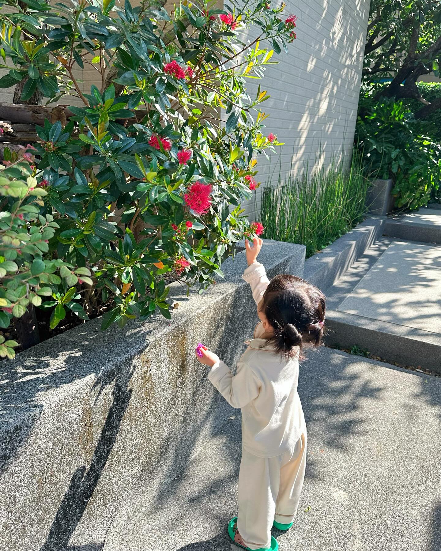 หยาด - หยาดทิพย์ ราชปาล