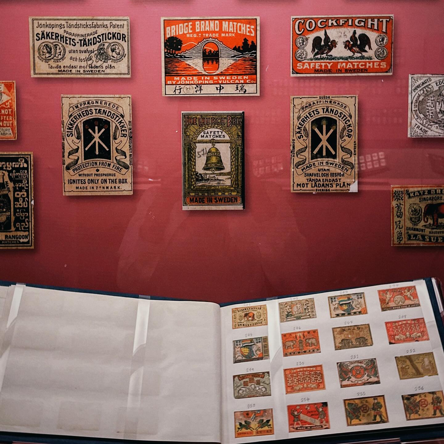 หยาด - หยาดทิพย์ ราชปาล