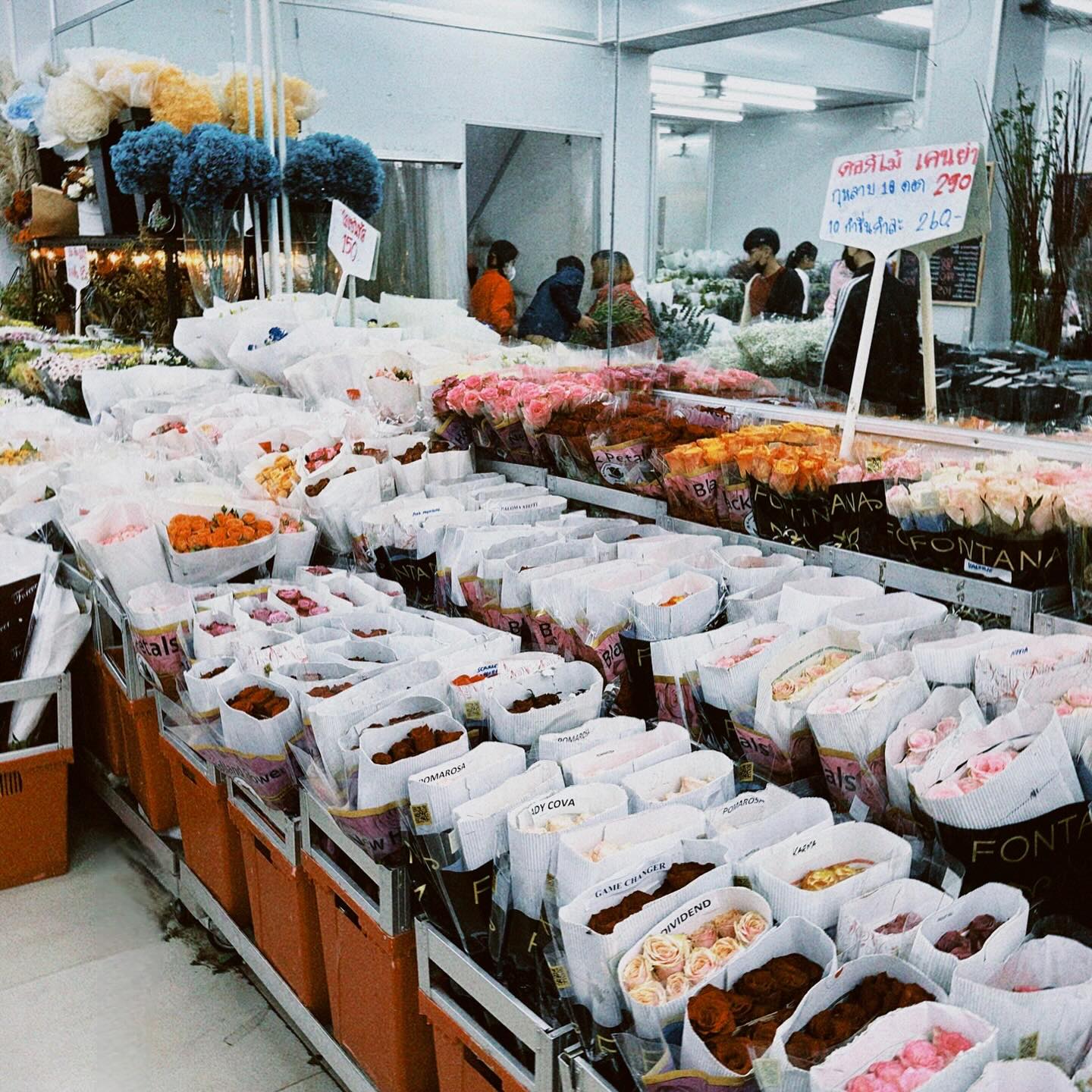 หยาด - หยาดทิพย์ ราชปาล