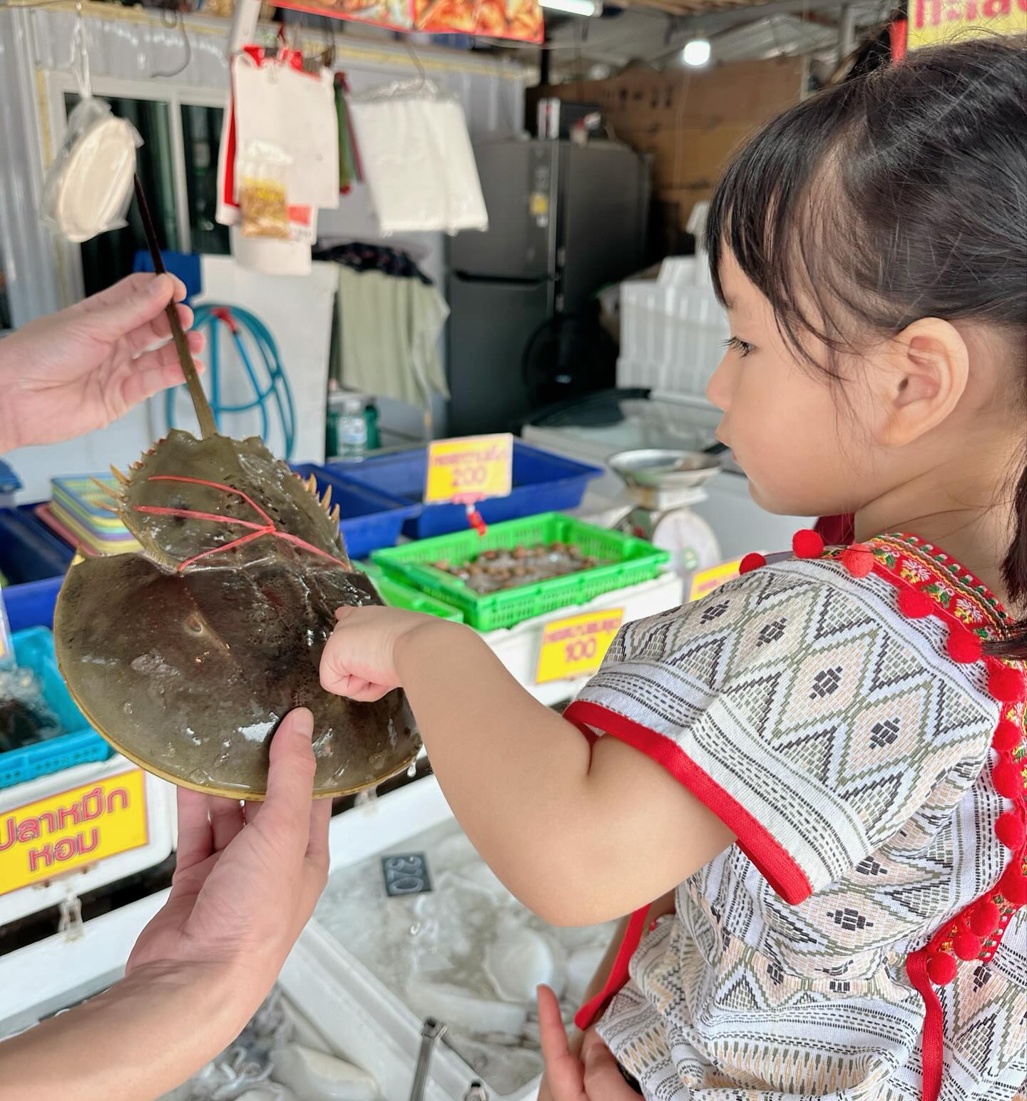 หยาด - หยาดทิพย์ ราชปาล