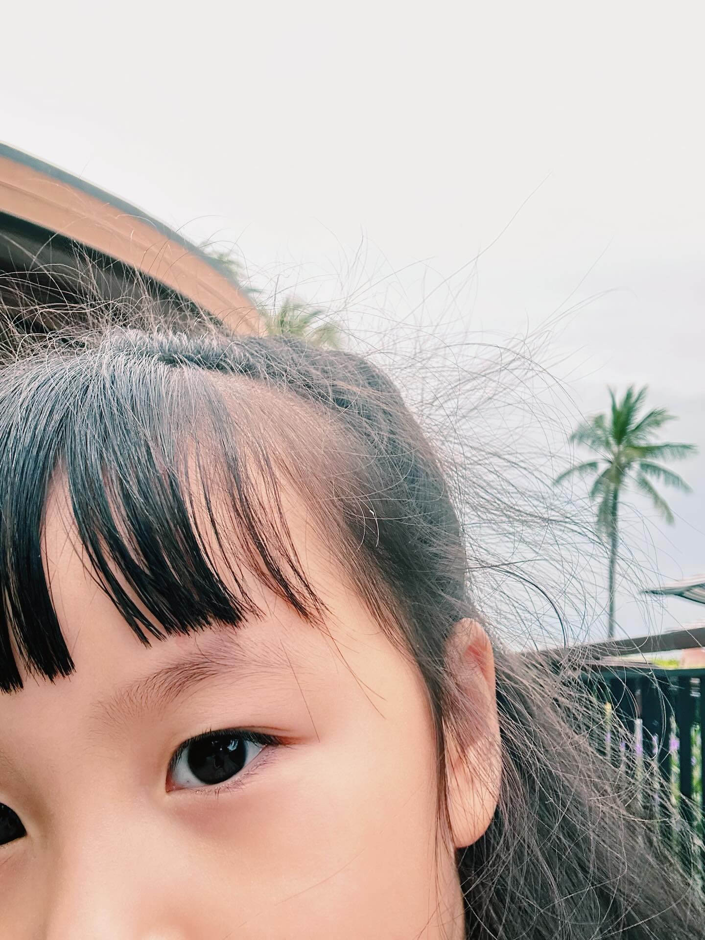 หยาด - หยาดทิพย์ ราชปาล