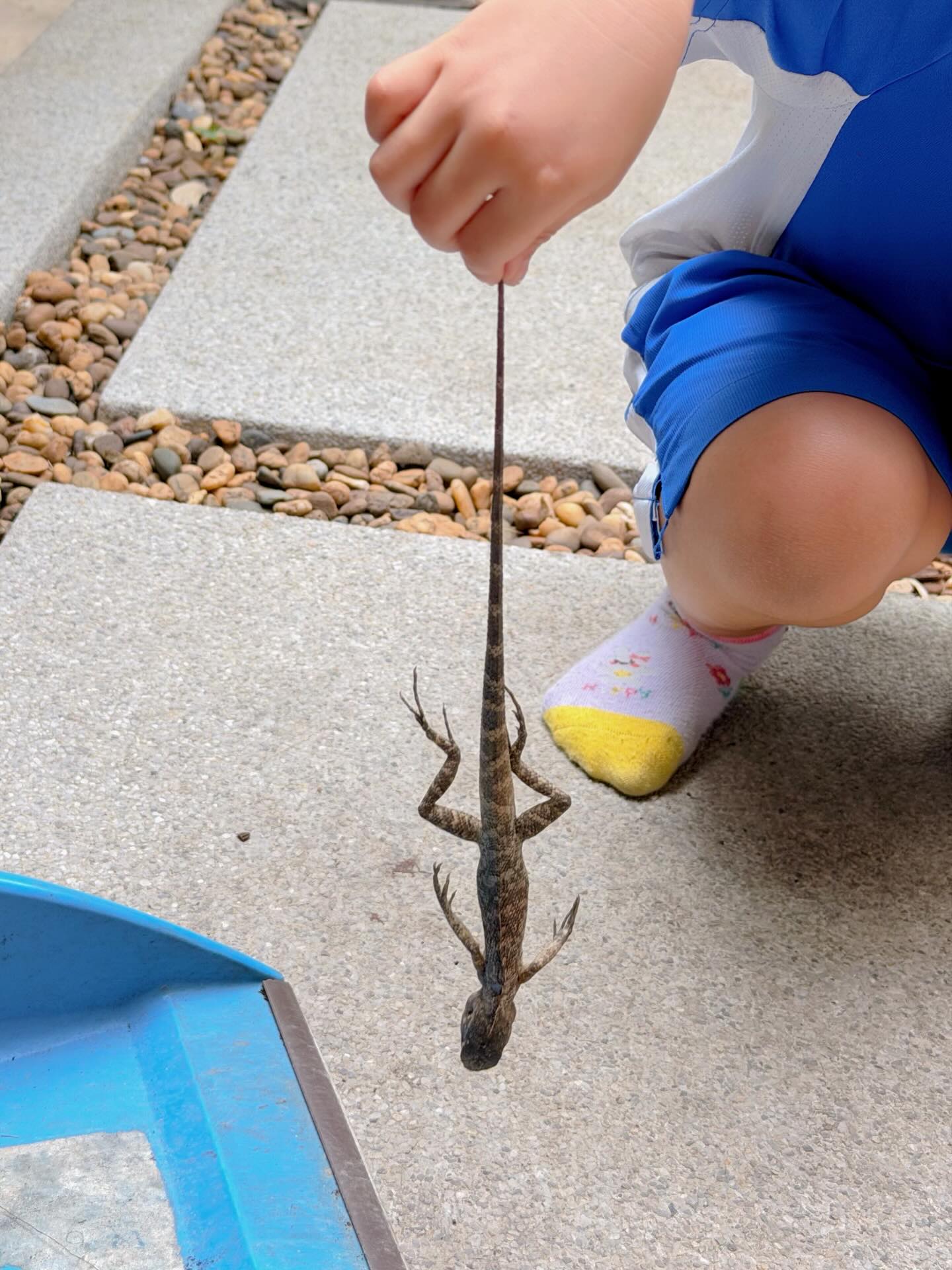 หยาด - หยาดทิพย์ ราชปาล