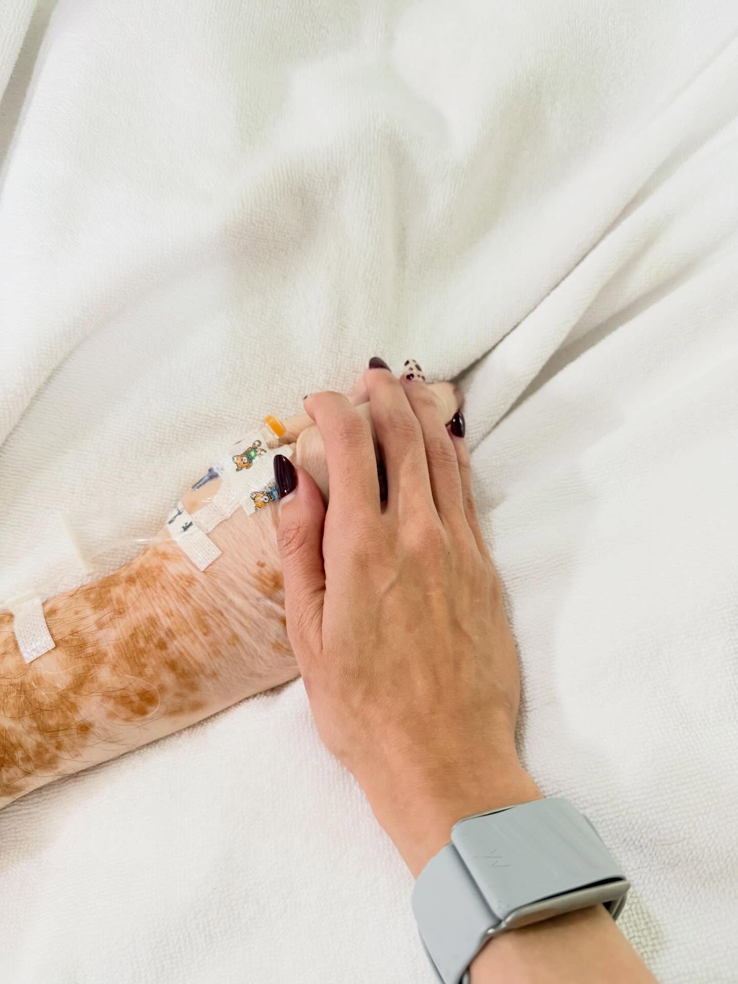 หยาด - หยาดทิพย์ ราชปาล