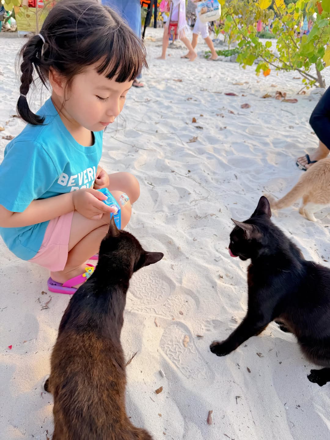 หยาด - หยาดทิพย์ ราชปาล