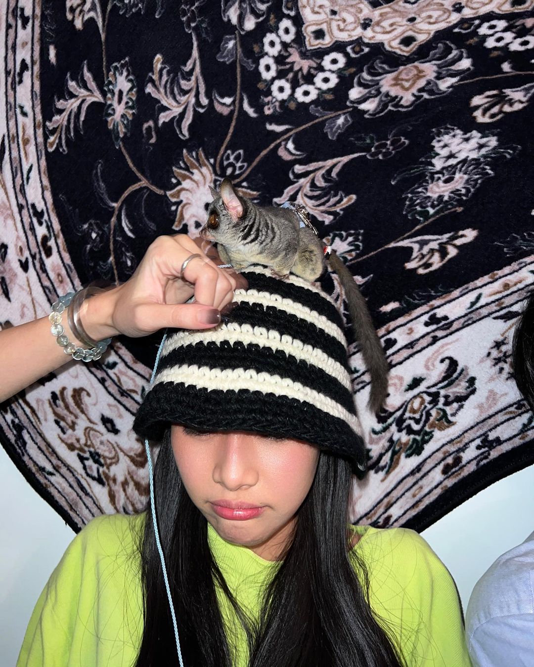 แพต - ชญานิษฐ์ ชาญสง่าเวช