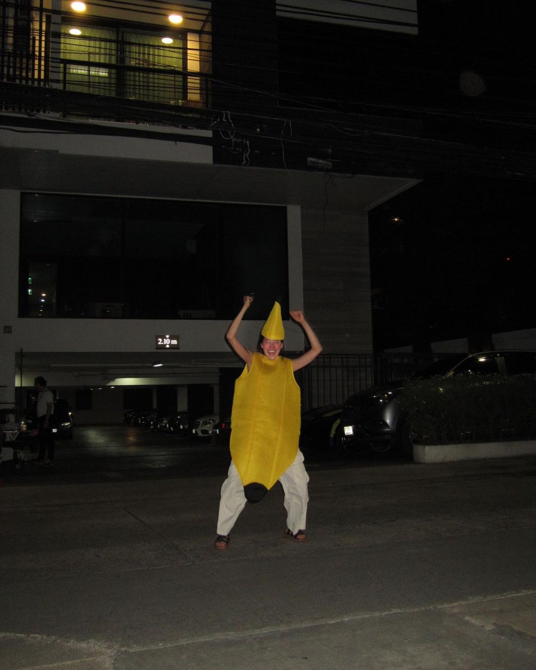 แพต - ชญานิษฐ์ ชาญสง่าเวช