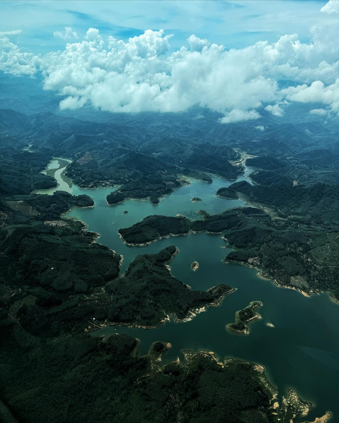 แพต - ชญานิษฐ์ ชาญสง่าเวช