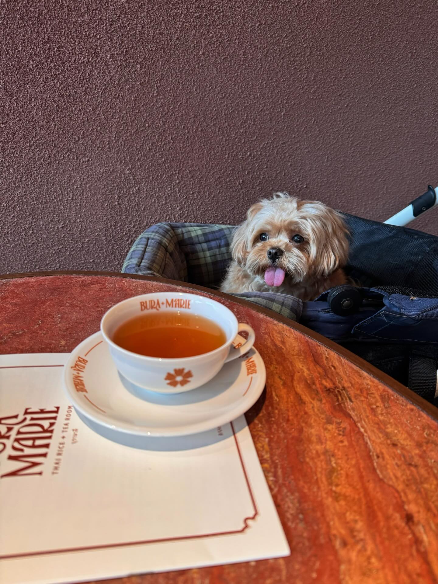 แพต - ชญานิษฐ์ ชาญสง่าเวช