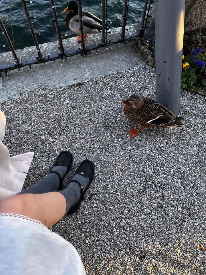 แพต - ชญานิษฐ์ ชาญสง่าเวช