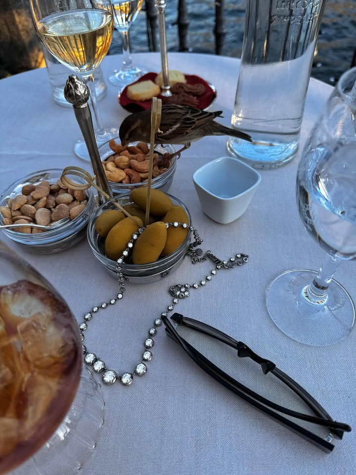 แพต - ชญานิษฐ์ ชาญสง่าเวช