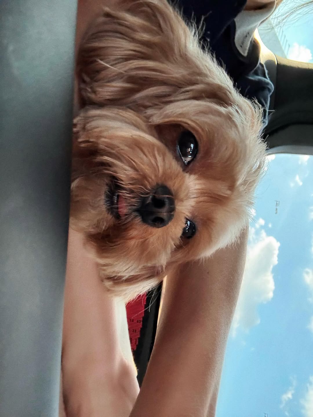 แพต - ชญานิษฐ์ ชาญสง่าเวช