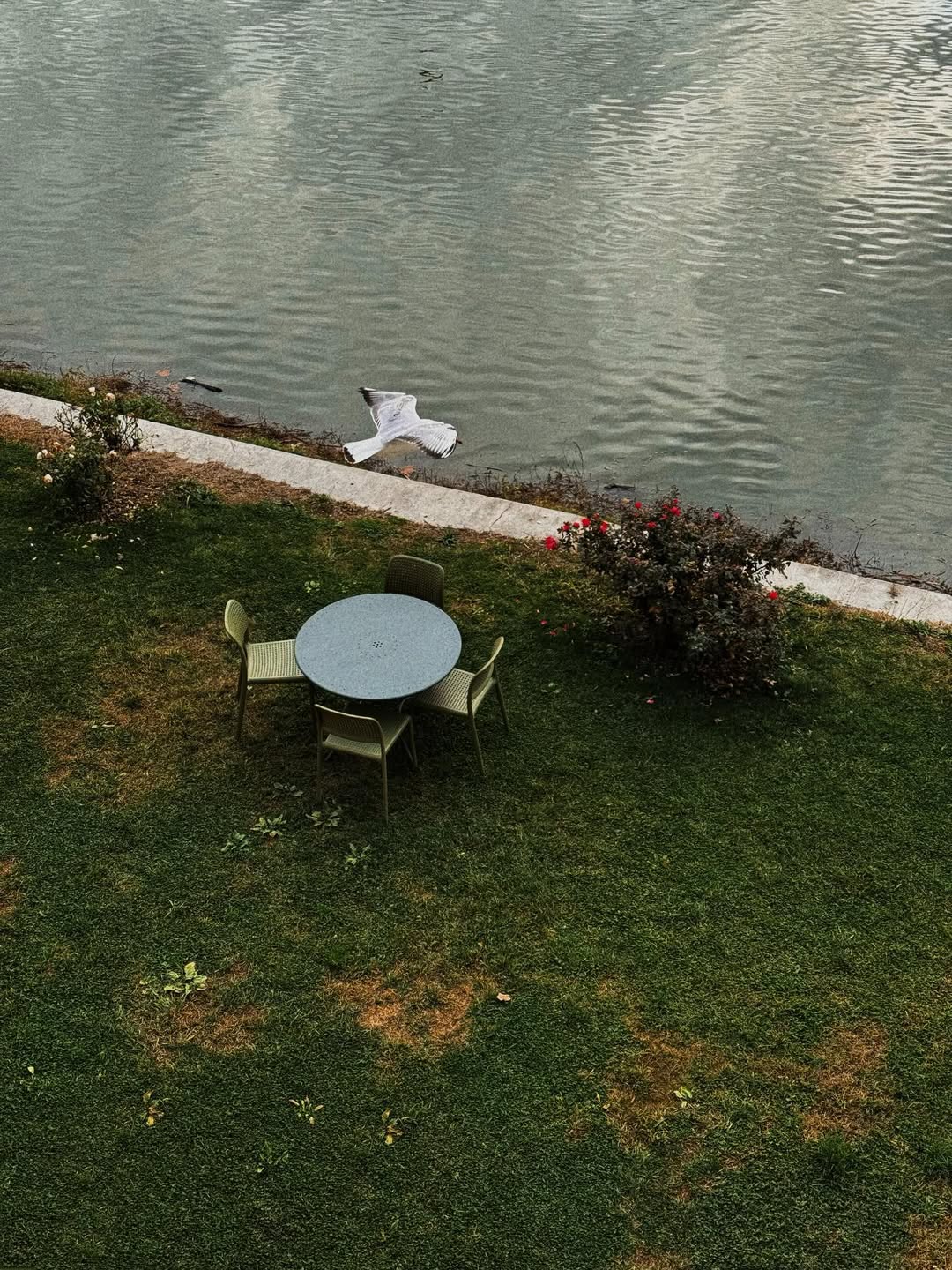 แพต - ชญานิษฐ์ ชาญสง่าเวช