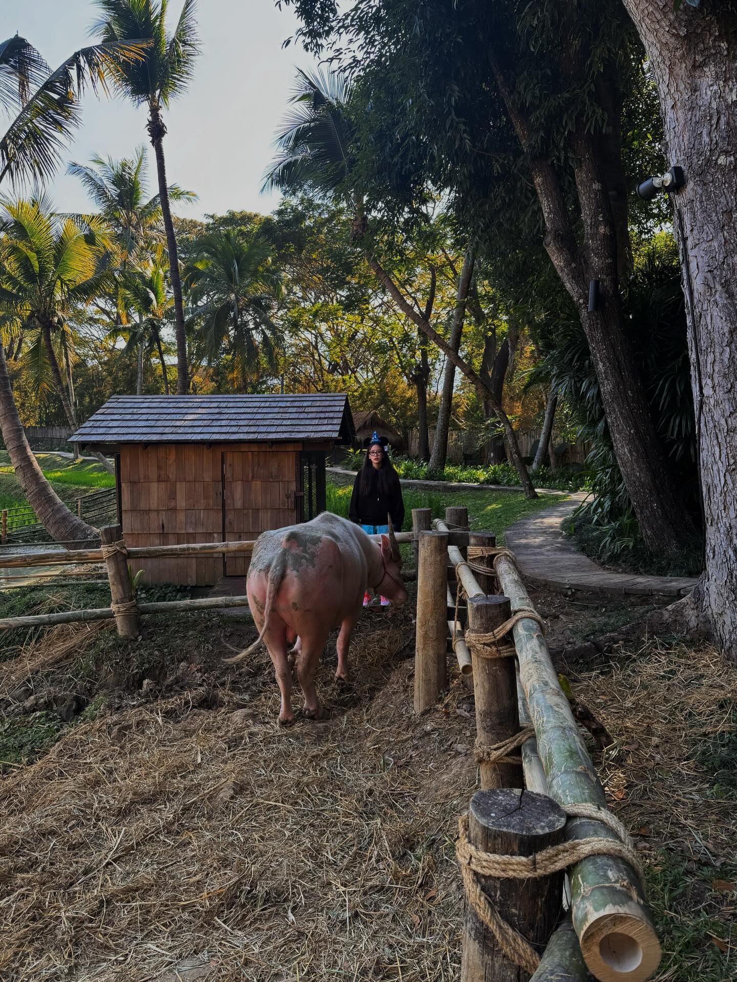 แพต - ชญานิษฐ์ ชาญสง่าเวช