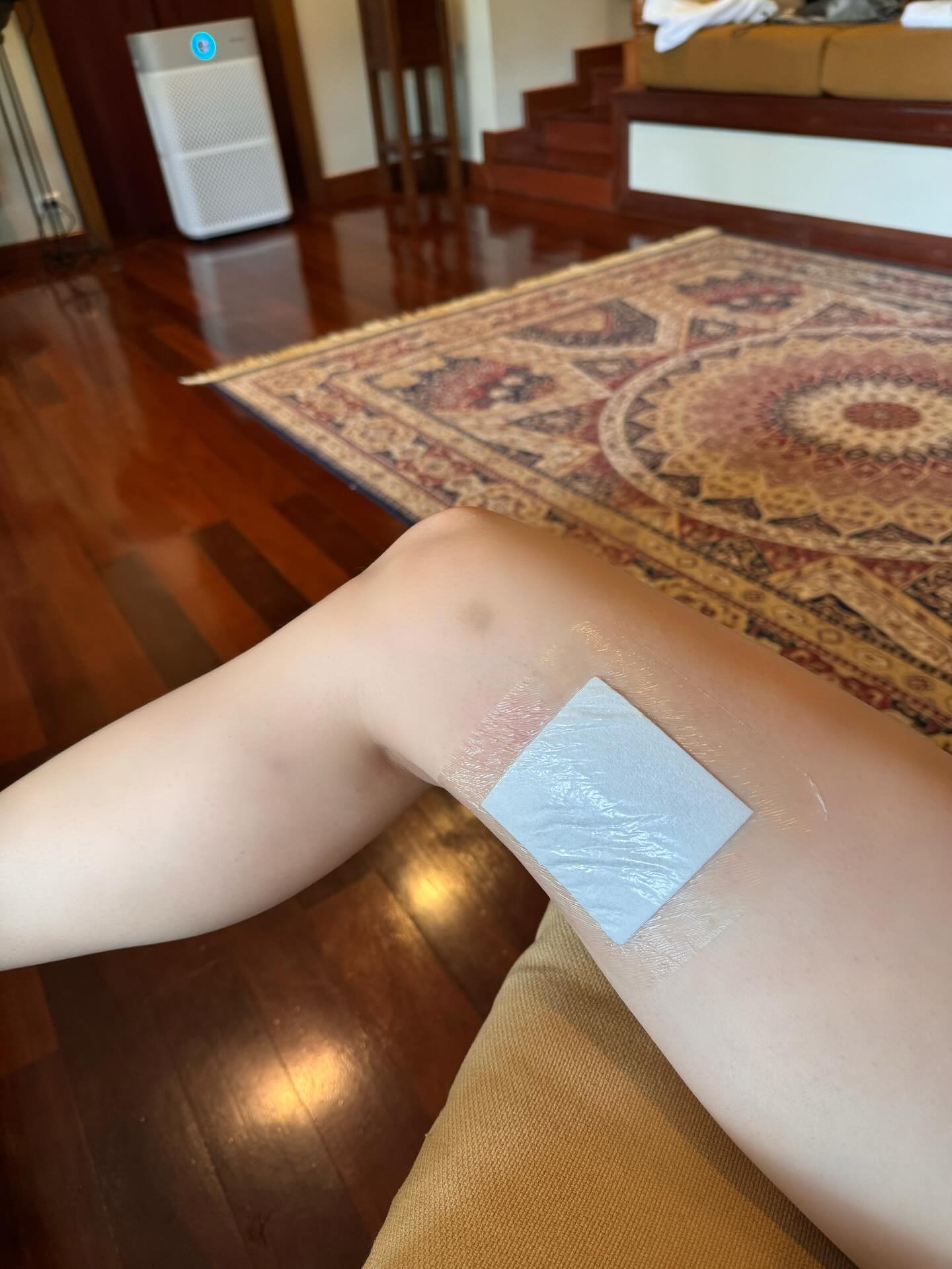 แพต - ชญานิษฐ์ ชาญสง่าเวช