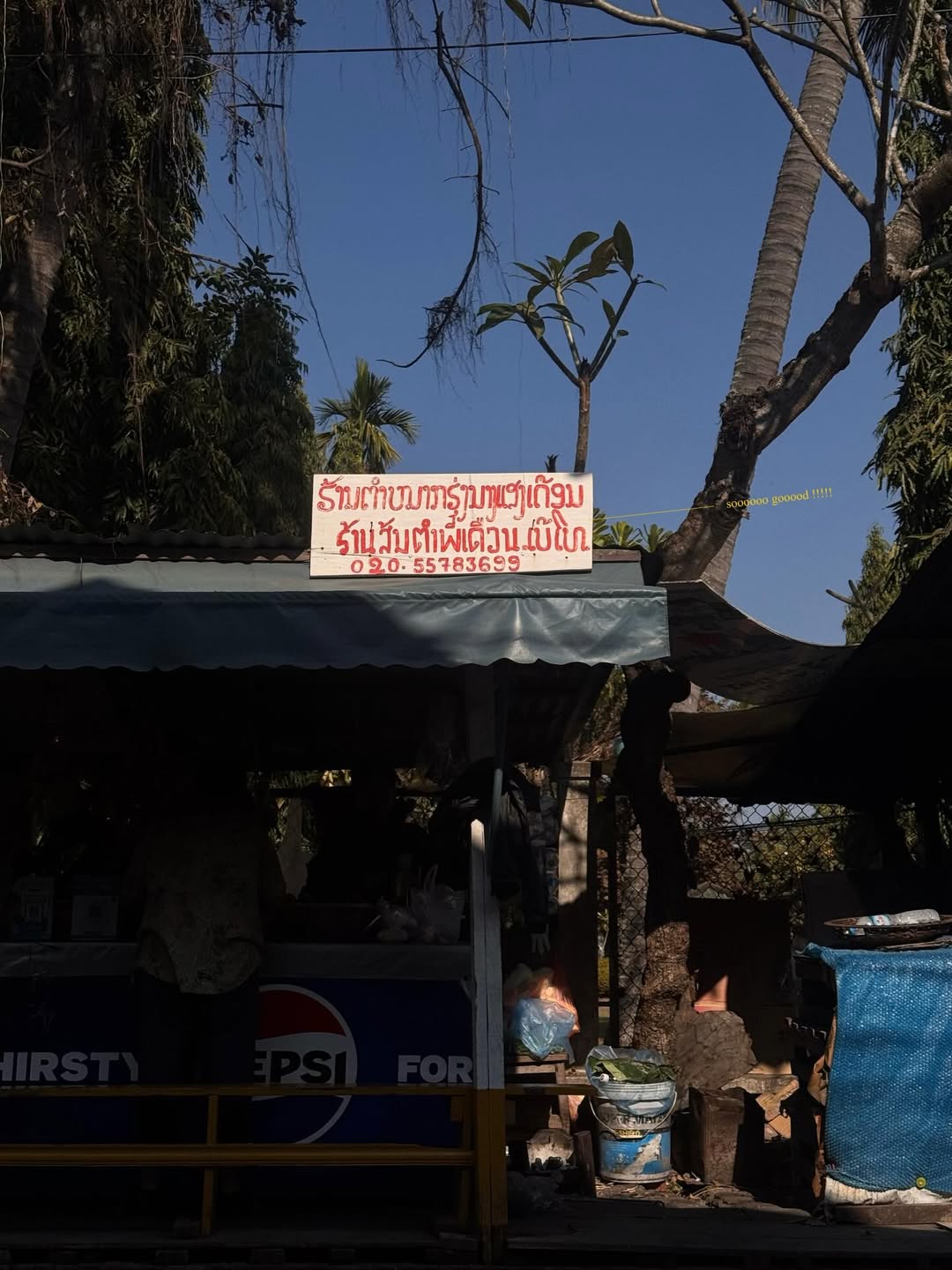 แพต - ชญานิษฐ์ ชาญสง่าเวช