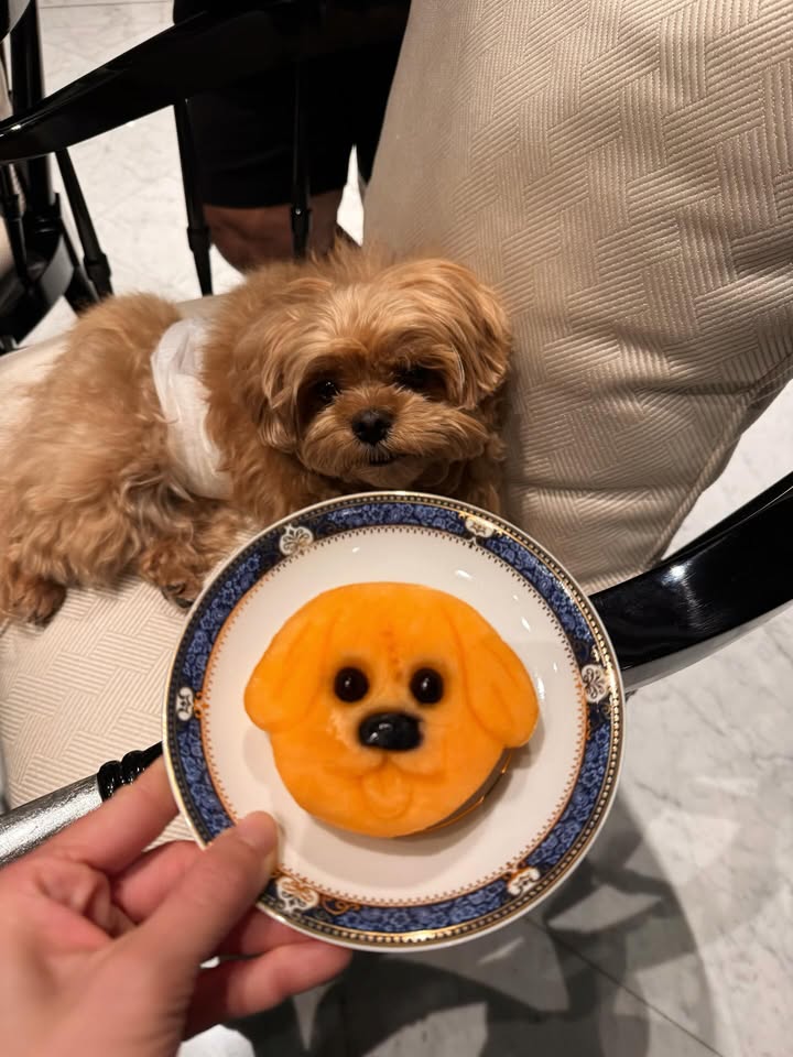 แพต - ชญานิษฐ์ ชาญสง่าเวช