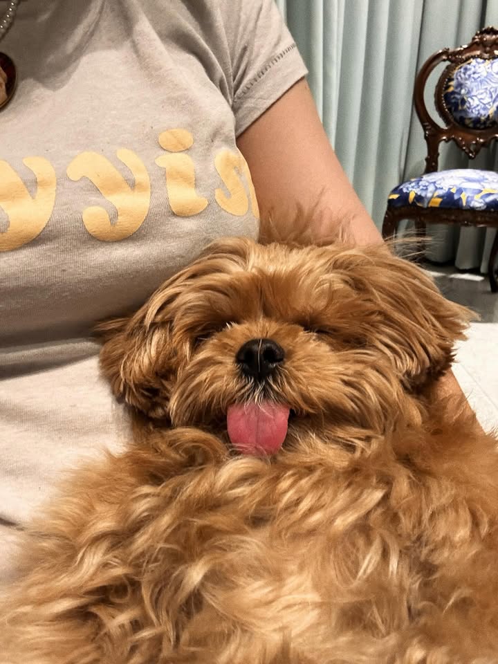 แพต - ชญานิษฐ์ ชาญสง่าเวช