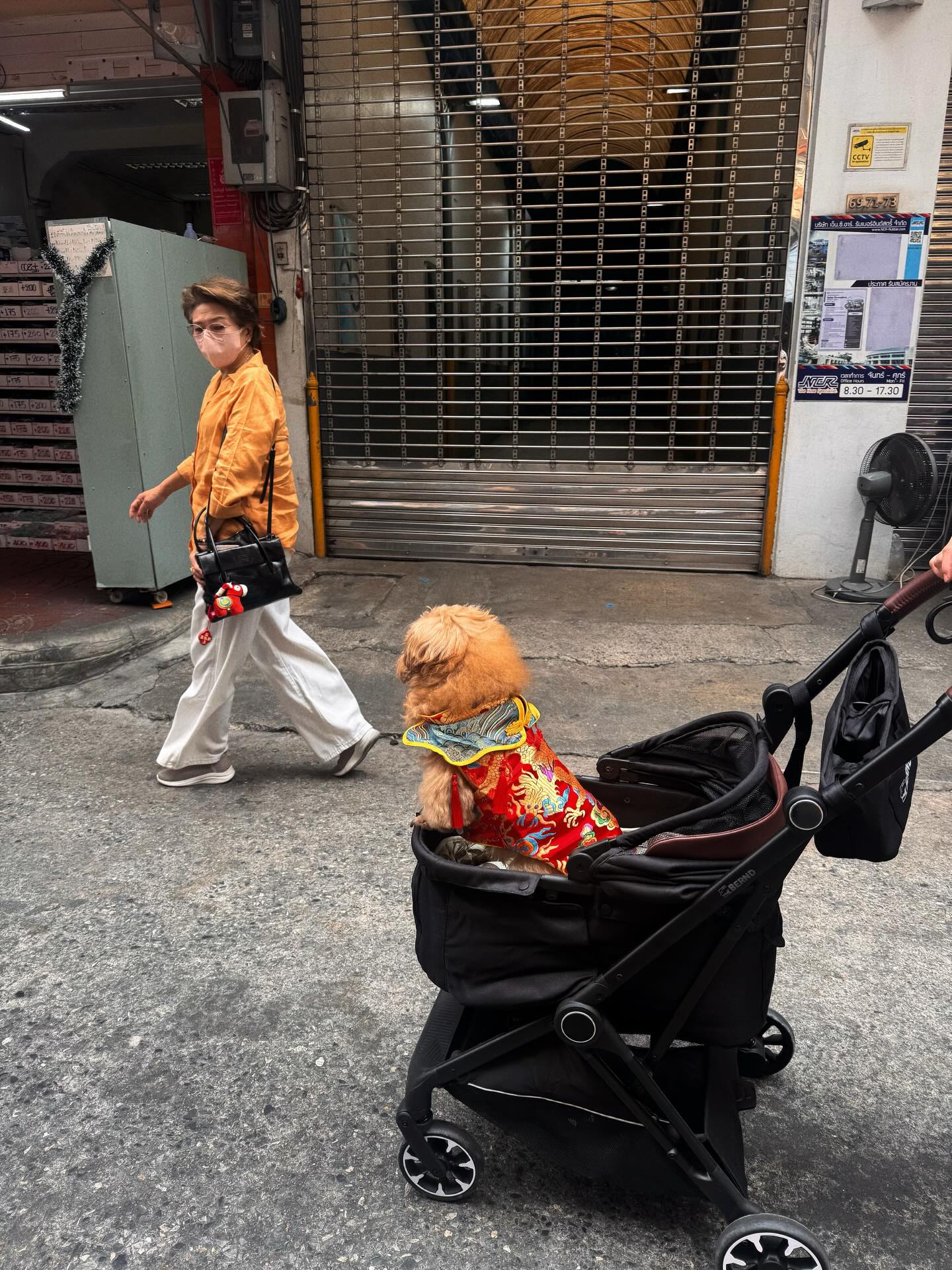 แพต - ชญานิษฐ์ ชาญสง่าเวช