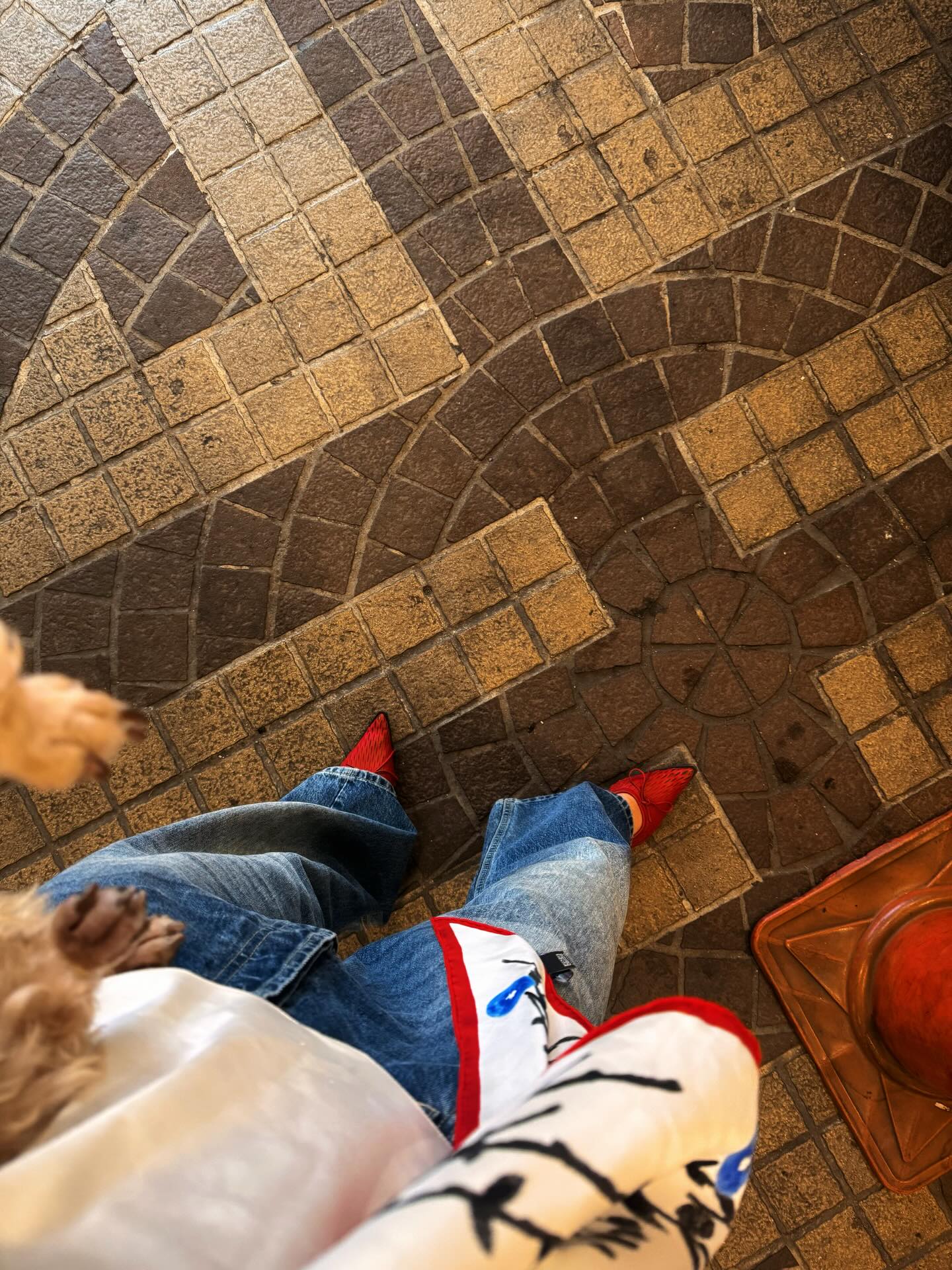 แพต - ชญานิษฐ์ ชาญสง่าเวช